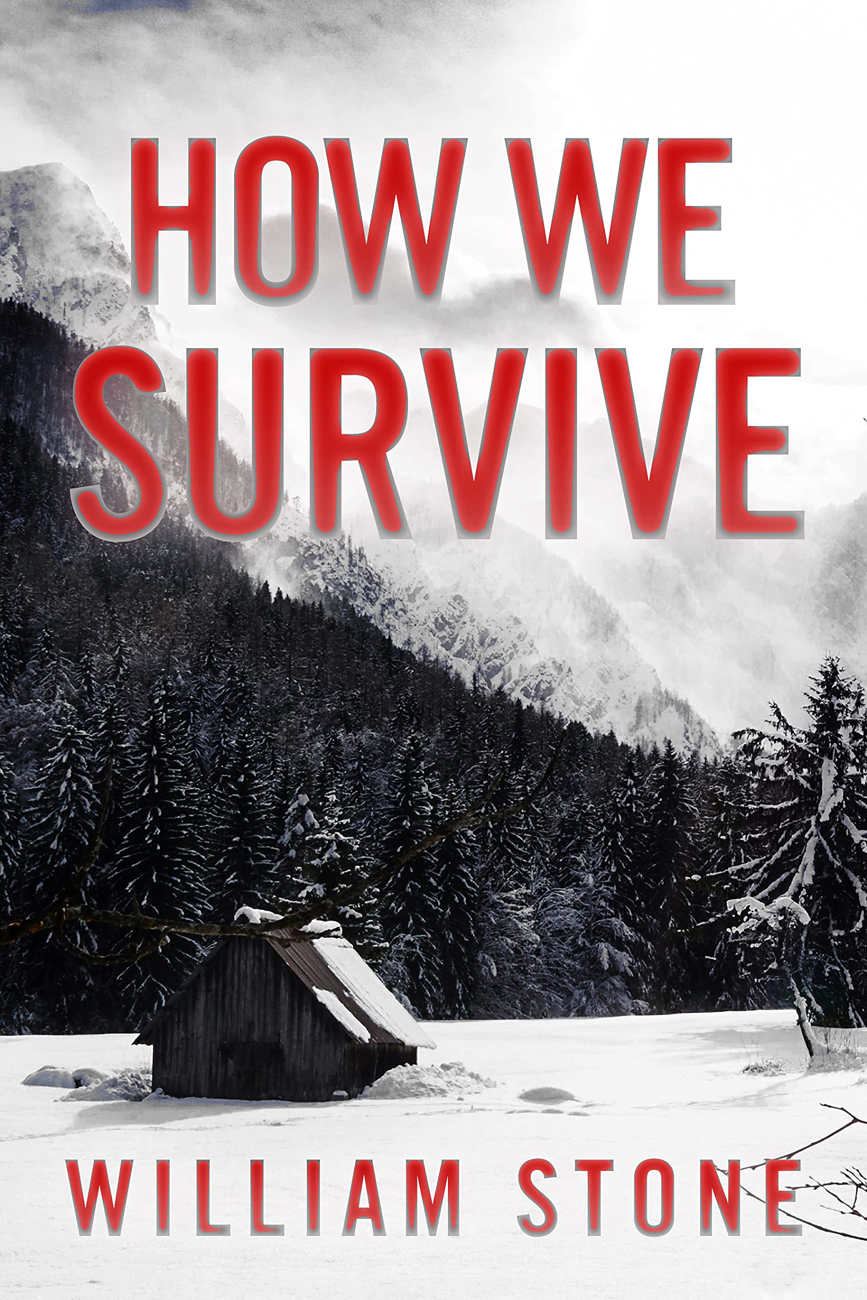 How We Survive book cover