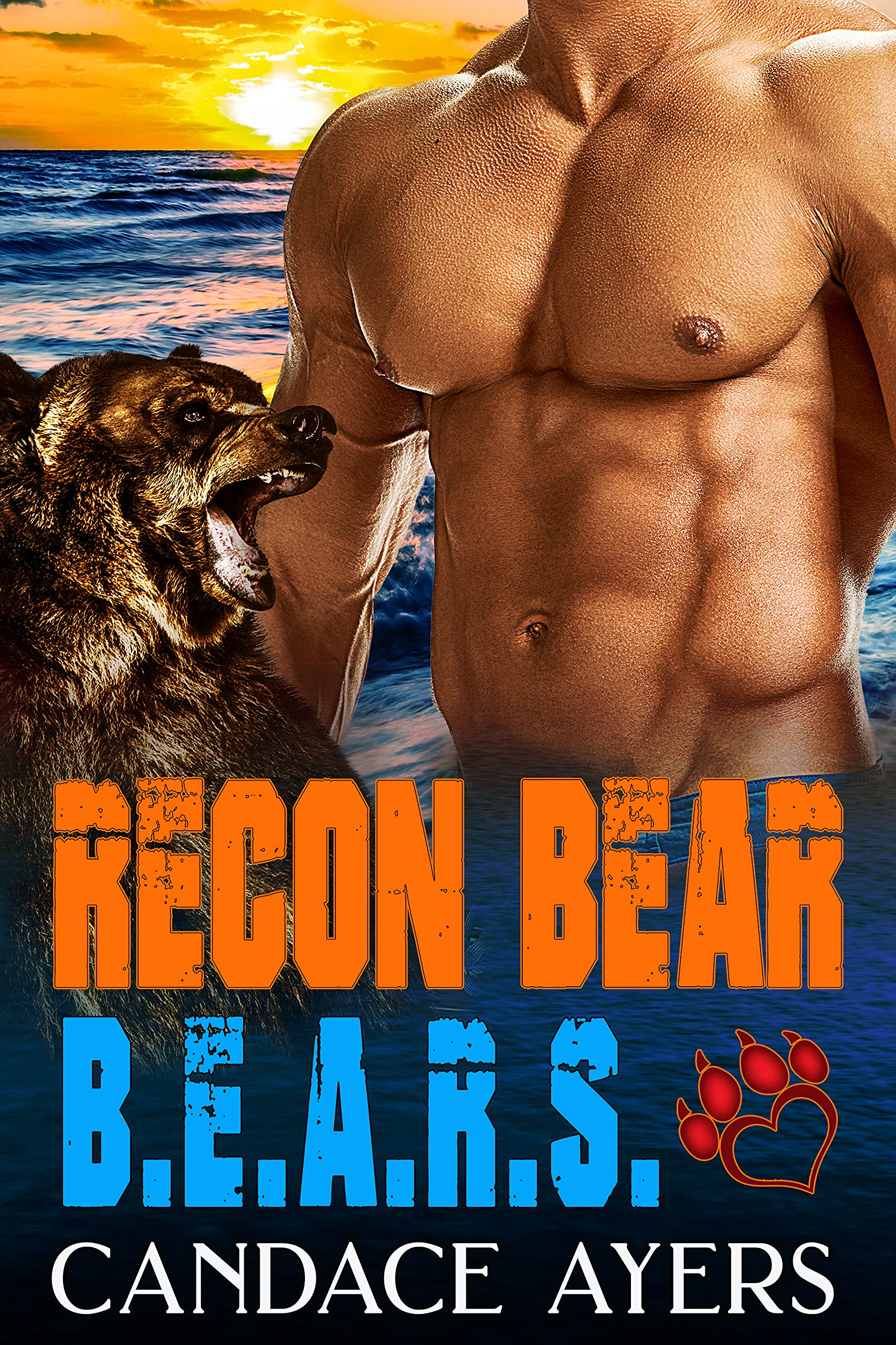 Recon Bear book cover