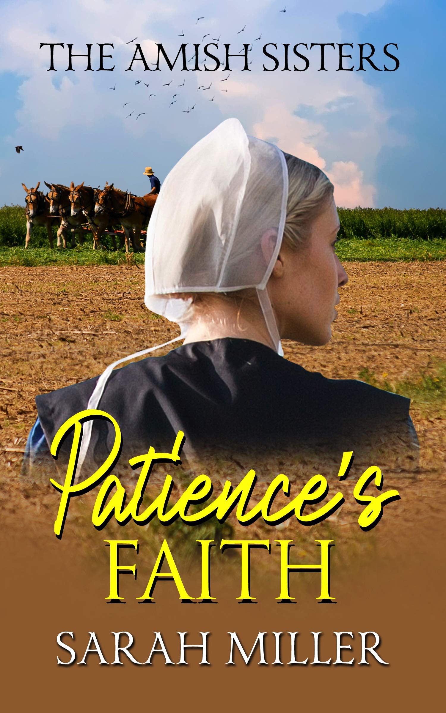 Patience's Faith book cover