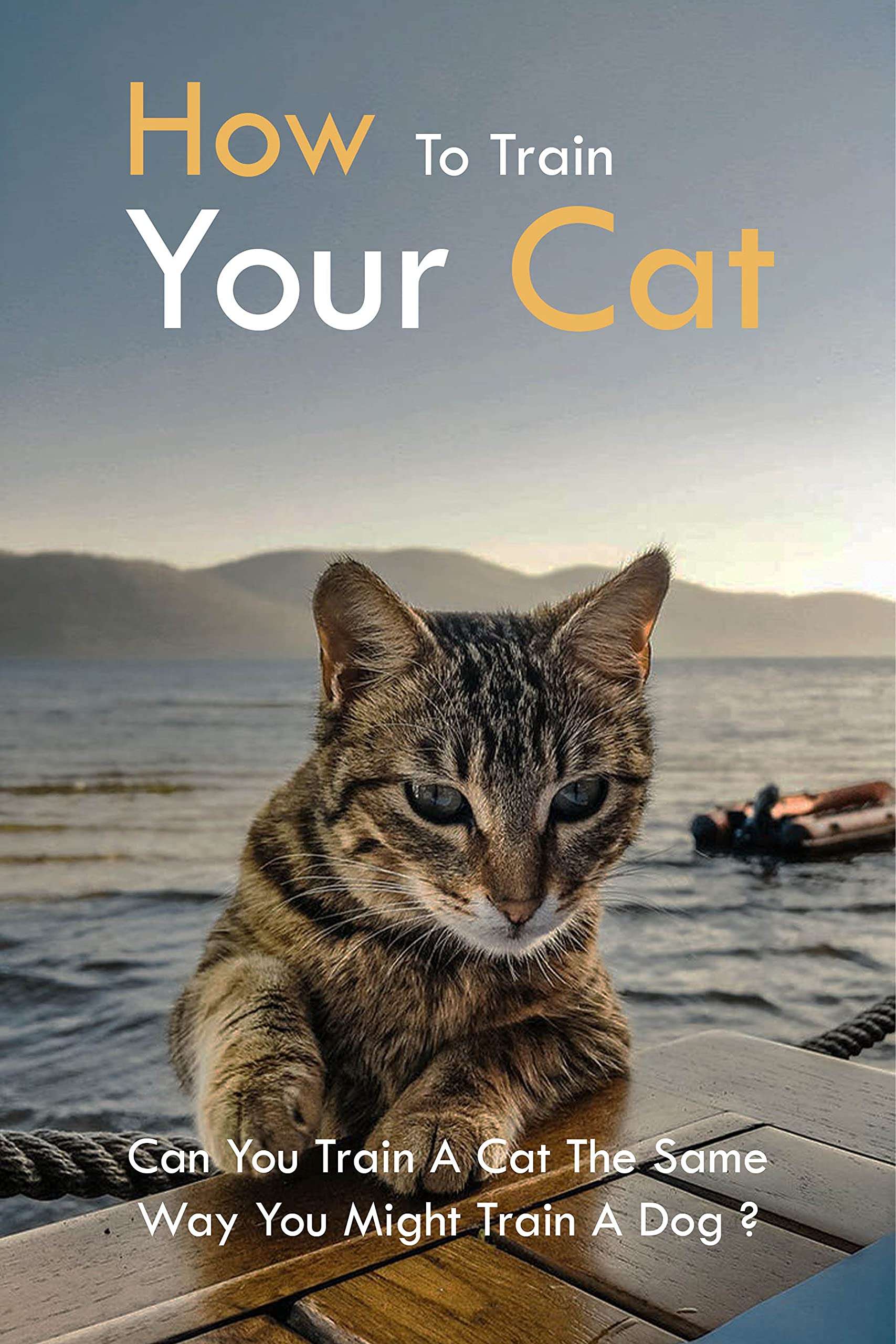 How To Train Your Cat Can You Train A Cat The Same Way You Might Train