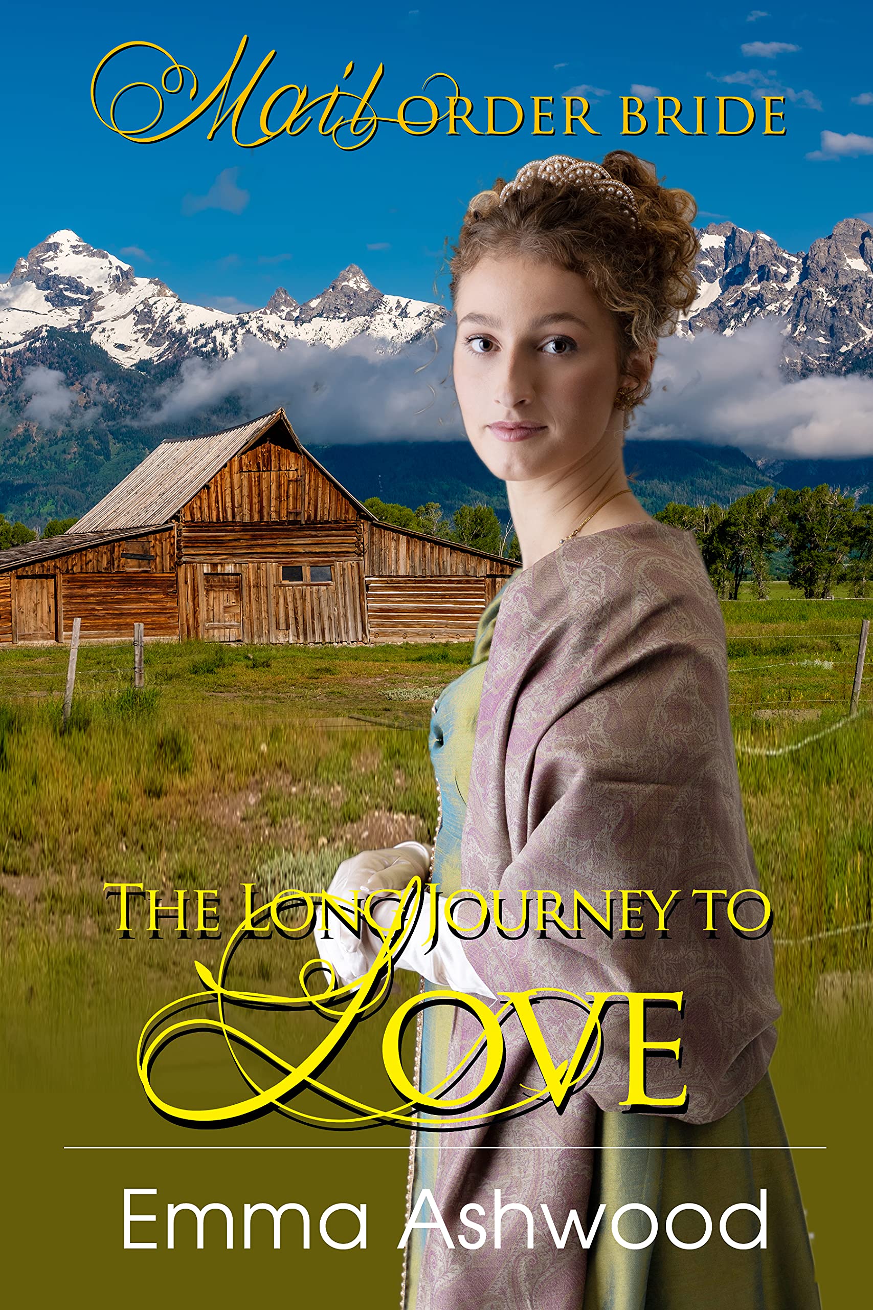 The Long Journey to Love book cover