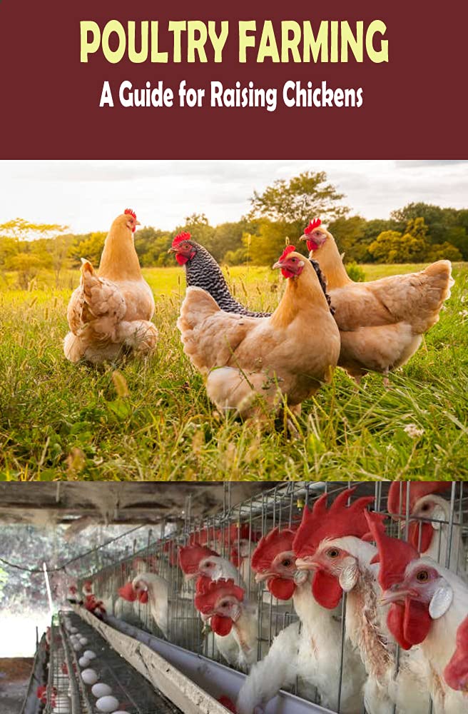 Backyard Poultry Book Organic Poultry Farming, All about Raising