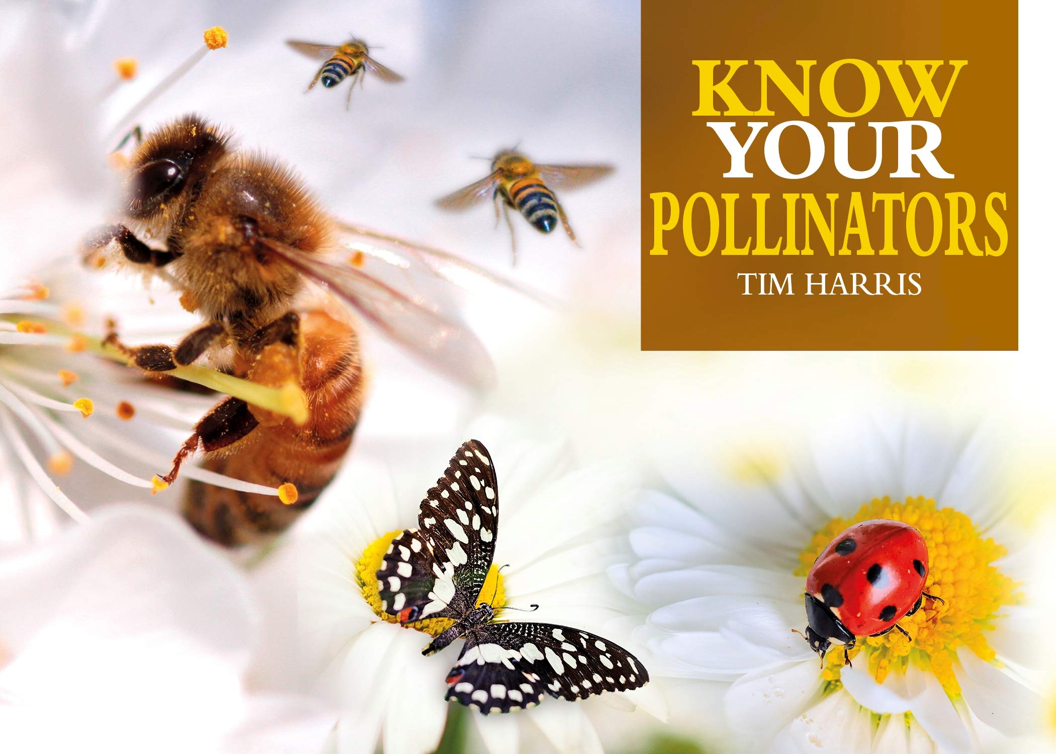 Know Your Pollinators by Tim Harris Goodreads