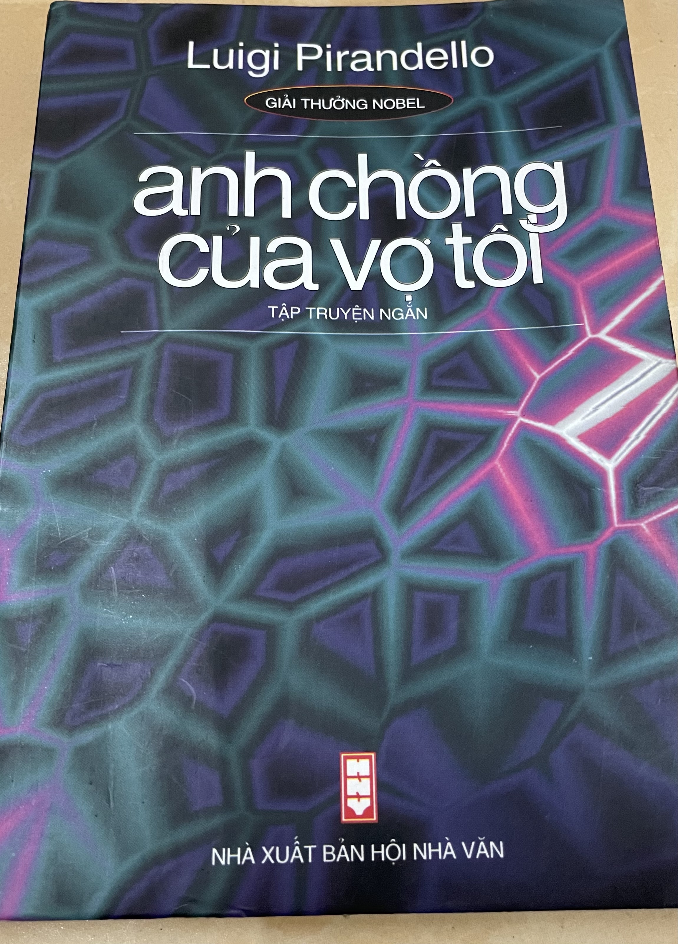 Anh Chồng Của Vợ Tôi book cover