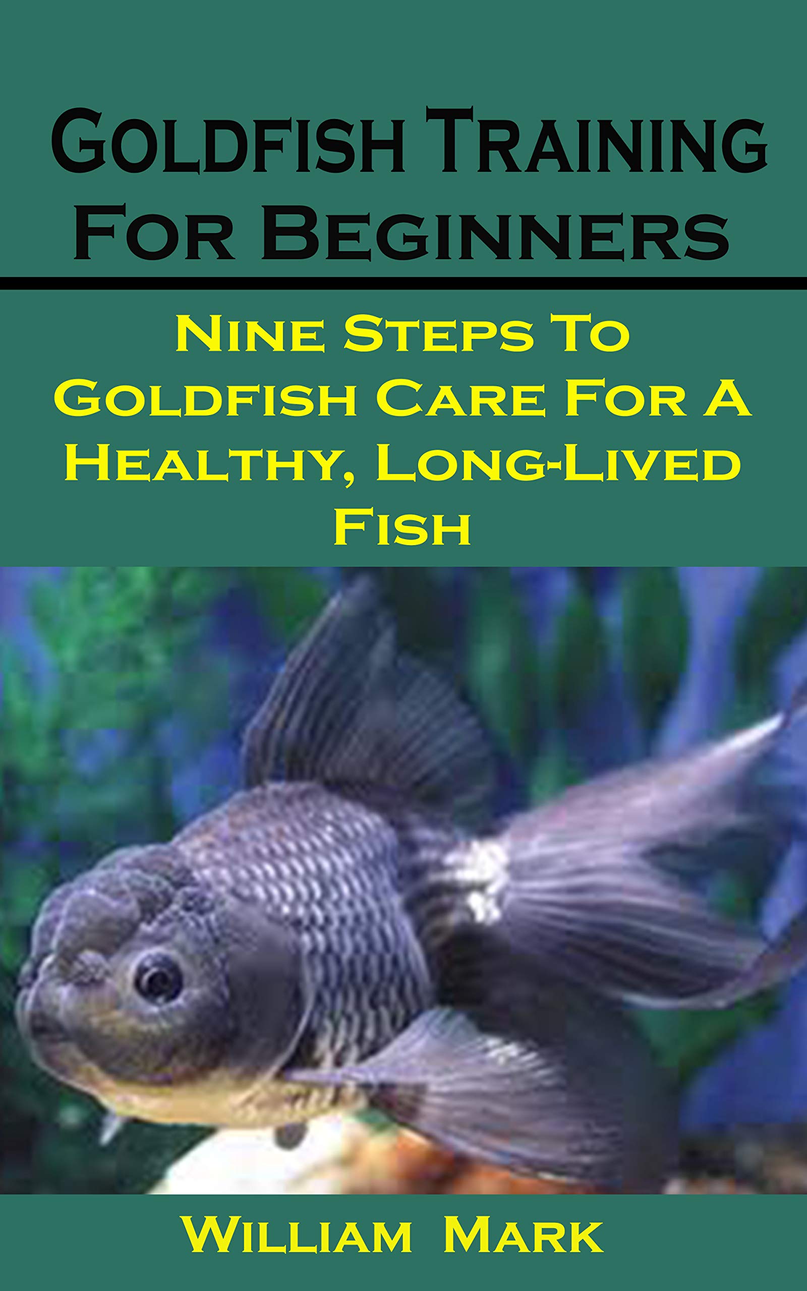 Goldfish Training For Beginners Goldfish Training For Beginners Nine