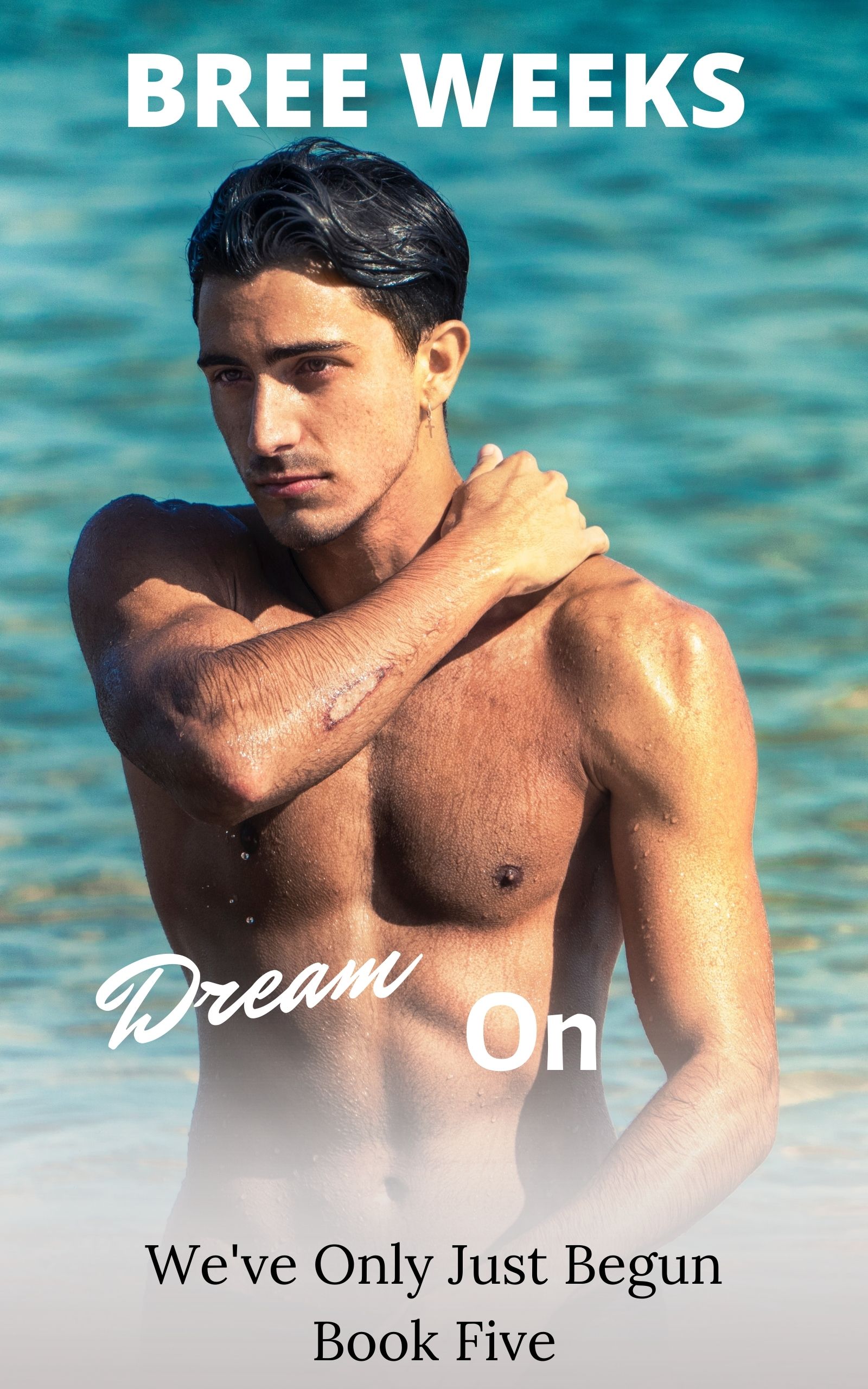 Dream On book cover