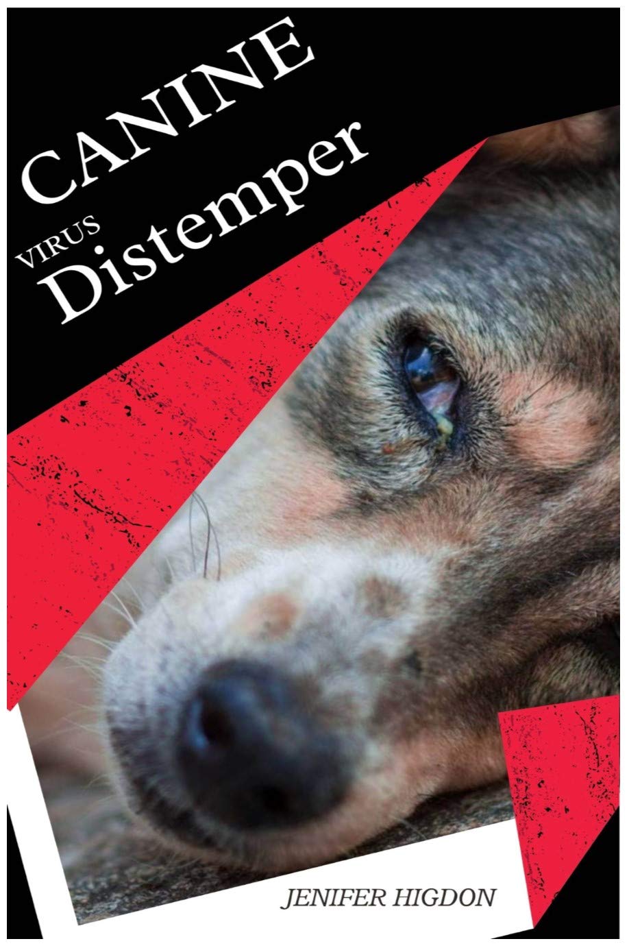 CANINE DISTEMPER A Dangerous Viral Disease That Causes Mass Death of