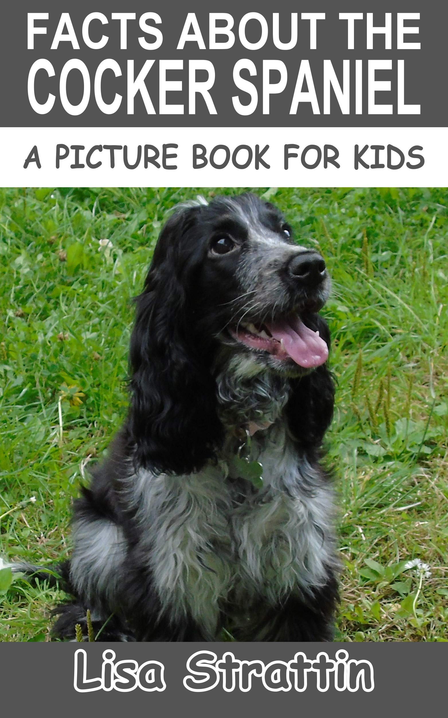 Facts About the Cocker Spaniel