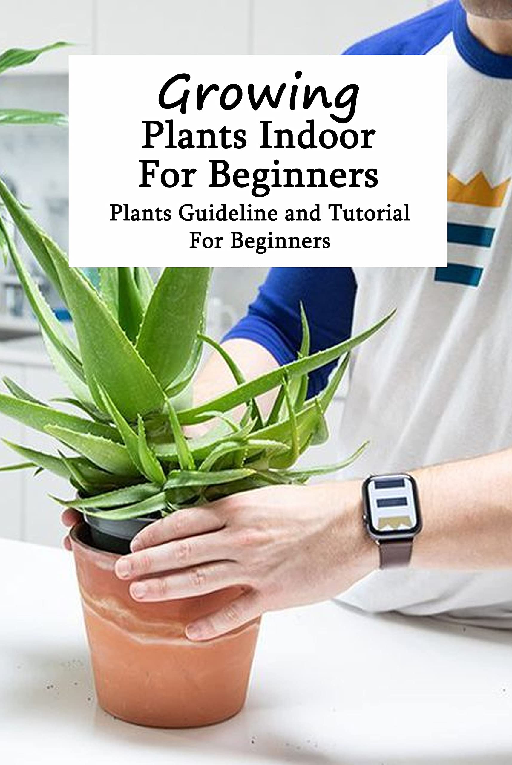 Growing Plants Indoor For Beginners Plants Guideline and Tutorial For Beginners Houseplants