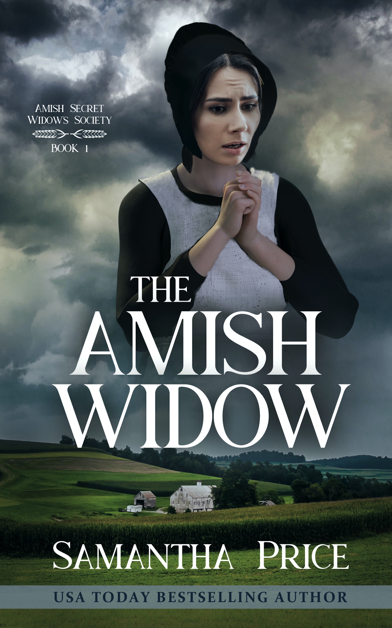 The Amish Widow