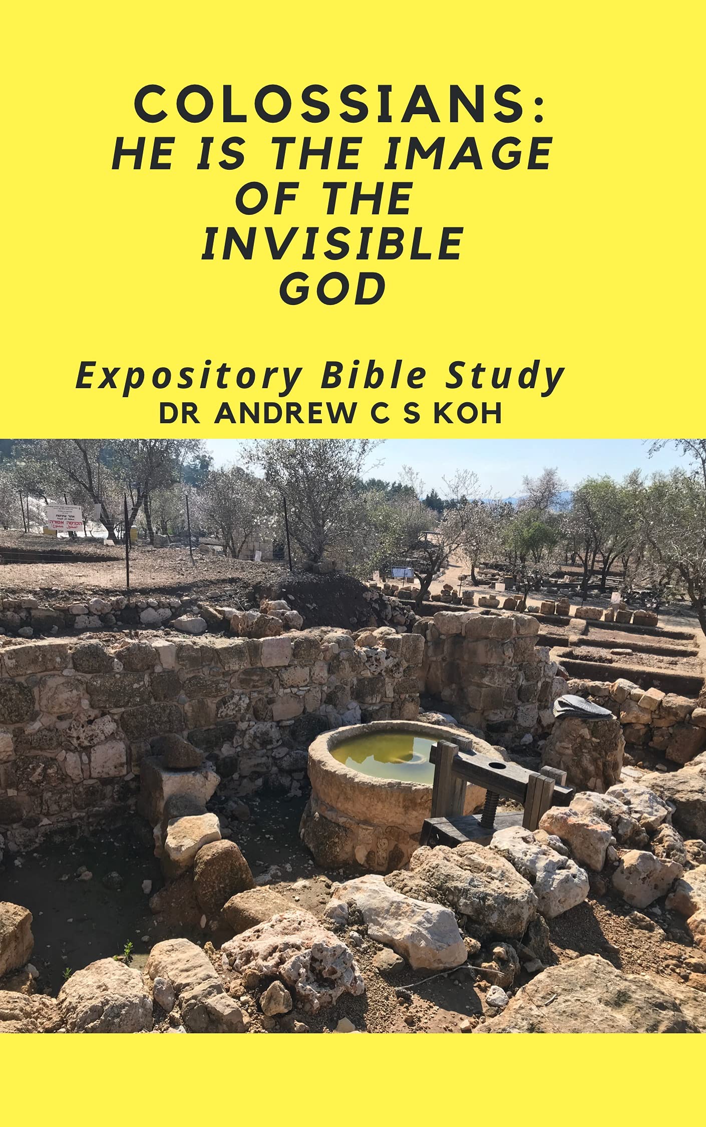 Colossians: He is the image of the invisible God