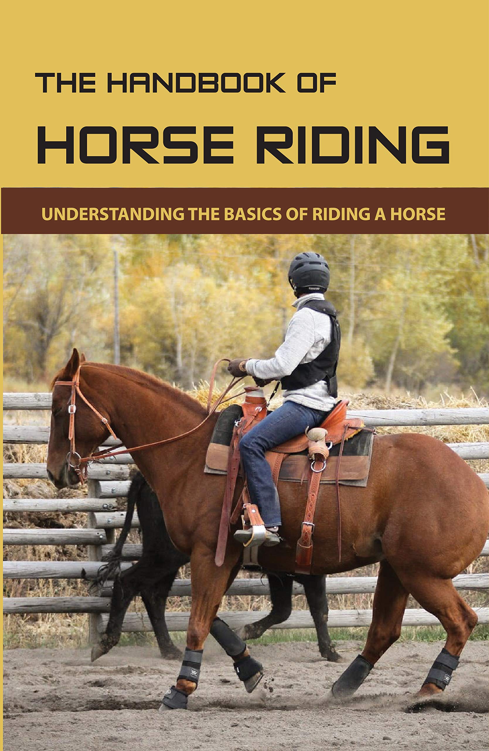 The Handbook Of Horse Riding Understanding The Basics Of Riding A Horse How To Ride A Horse
