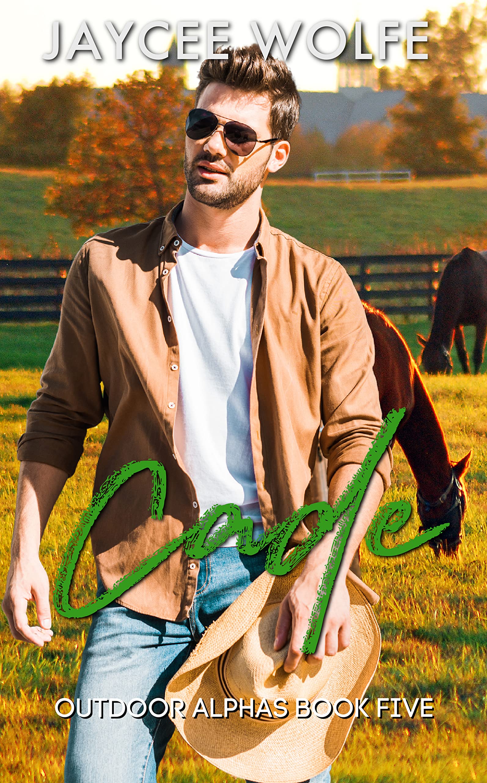Cade book cover