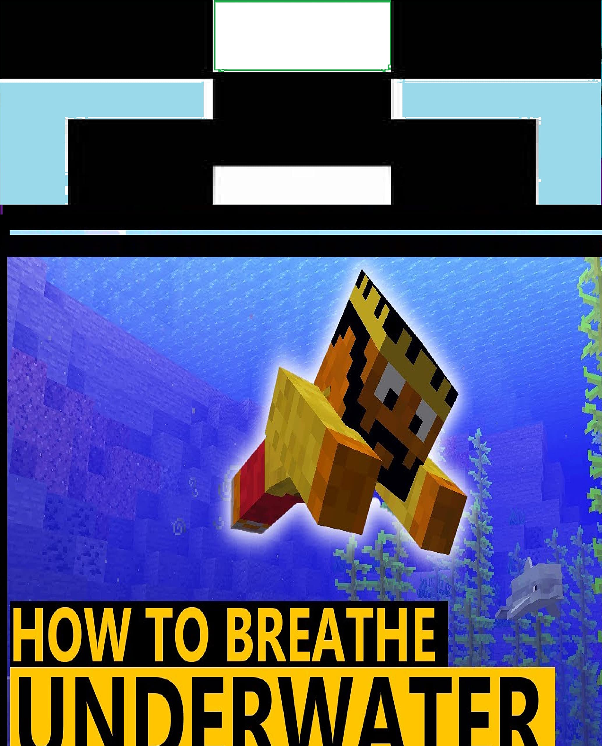 How To BREATHE UNDERWATER In Minecraft 8972 by Nhin Jane Jaymin Omer