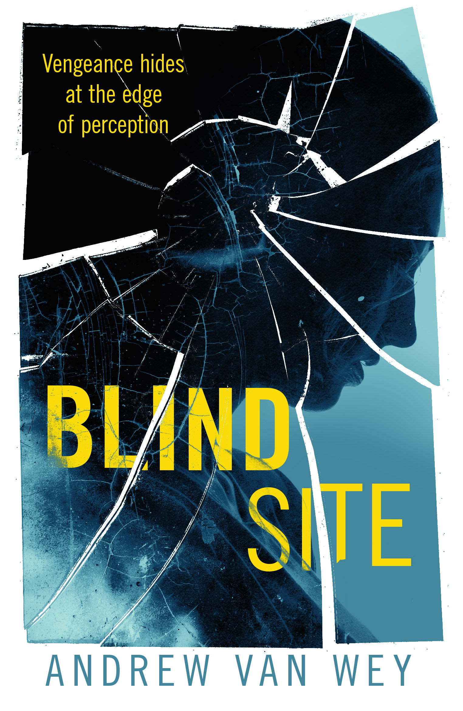 Blind Site book cover