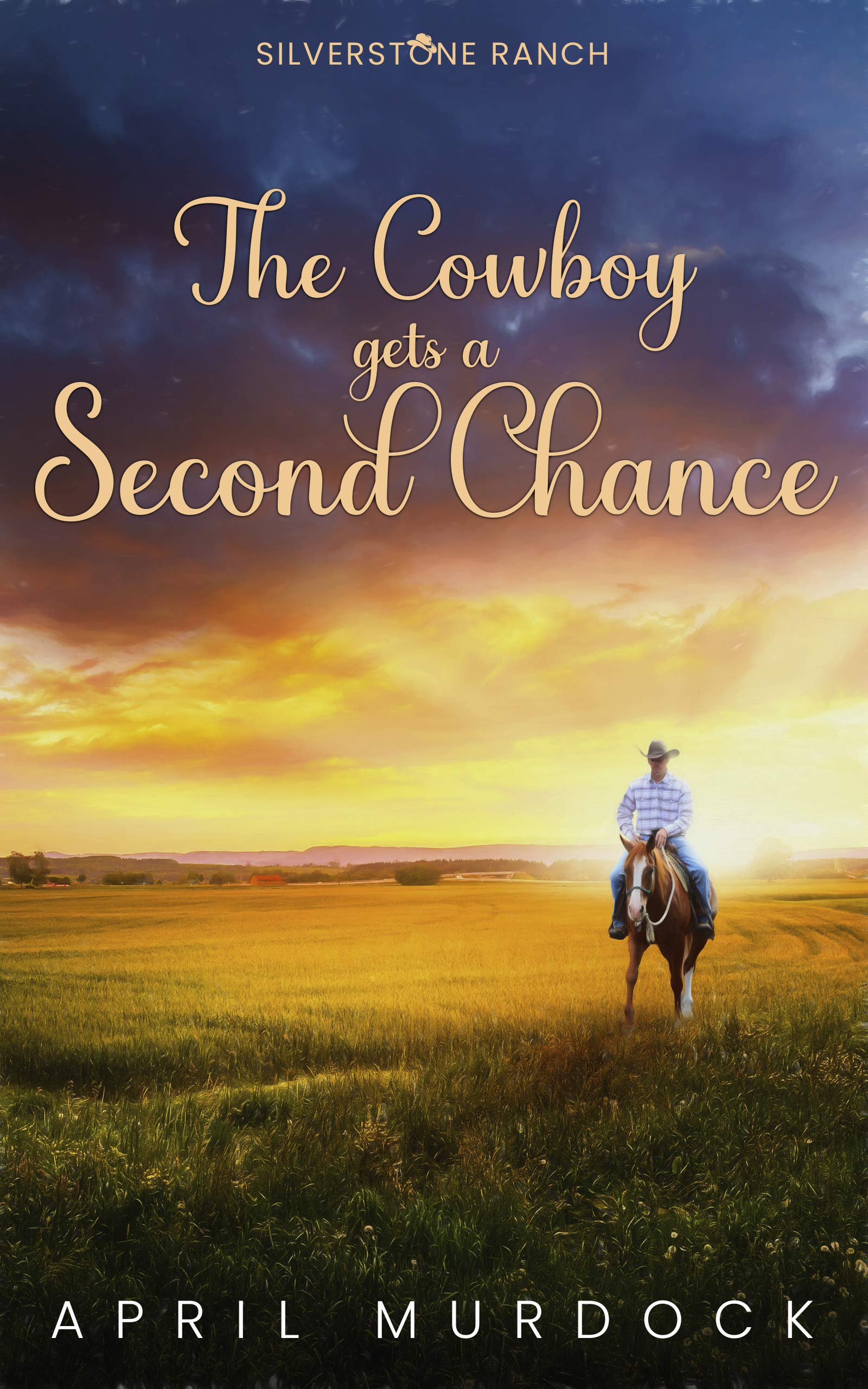 The Cowboy Gets a Second Chance book cover