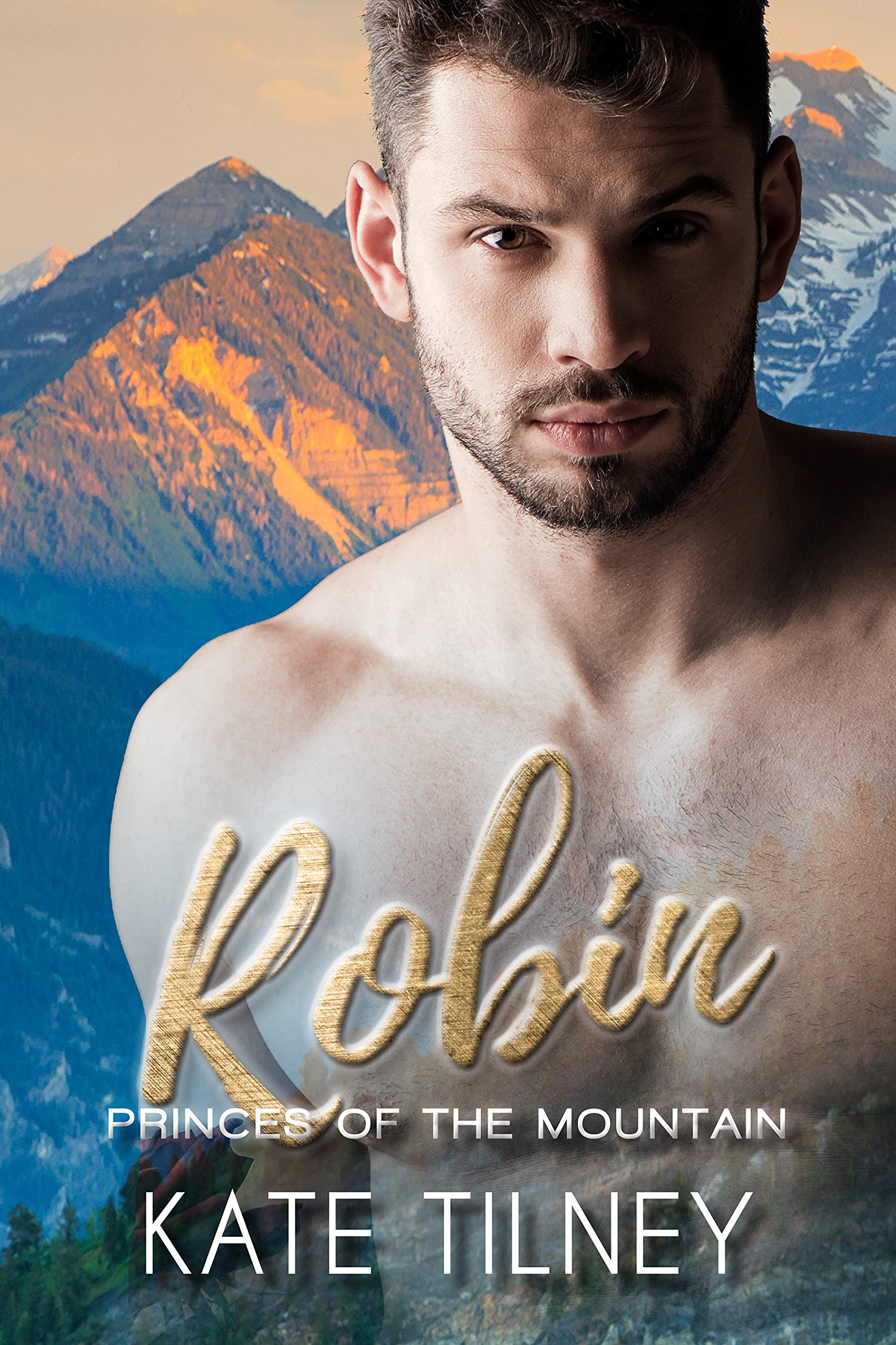 Robin book cover
