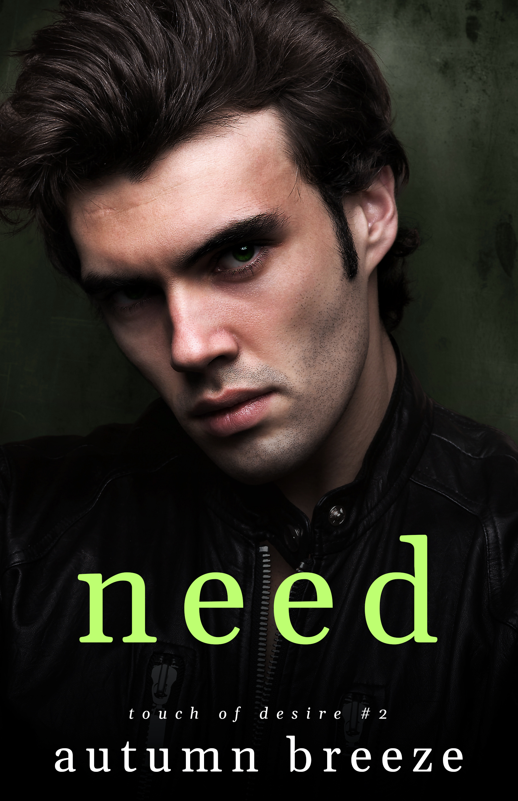Touch of Desire book cover 2