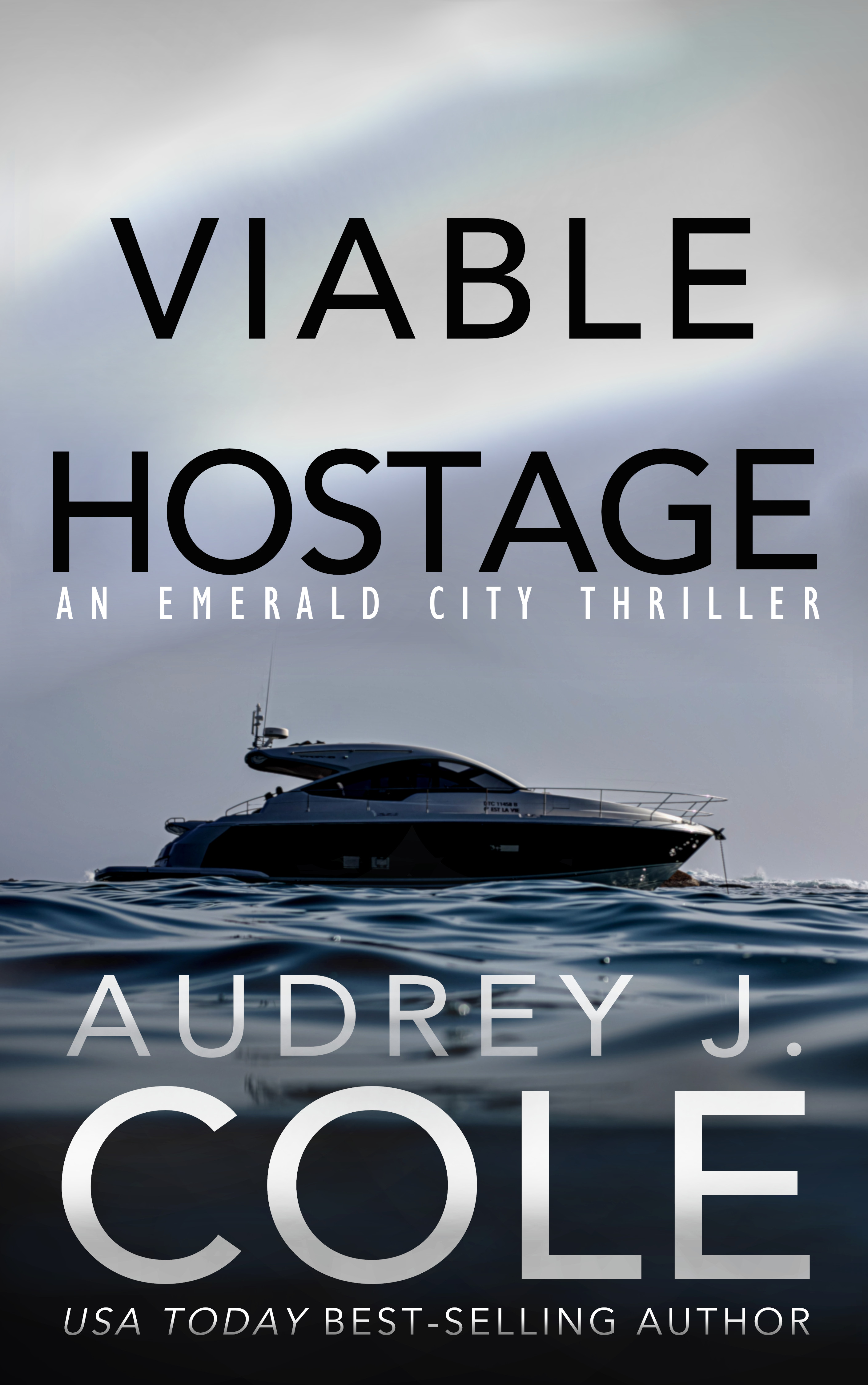 Viable Hostage book cover