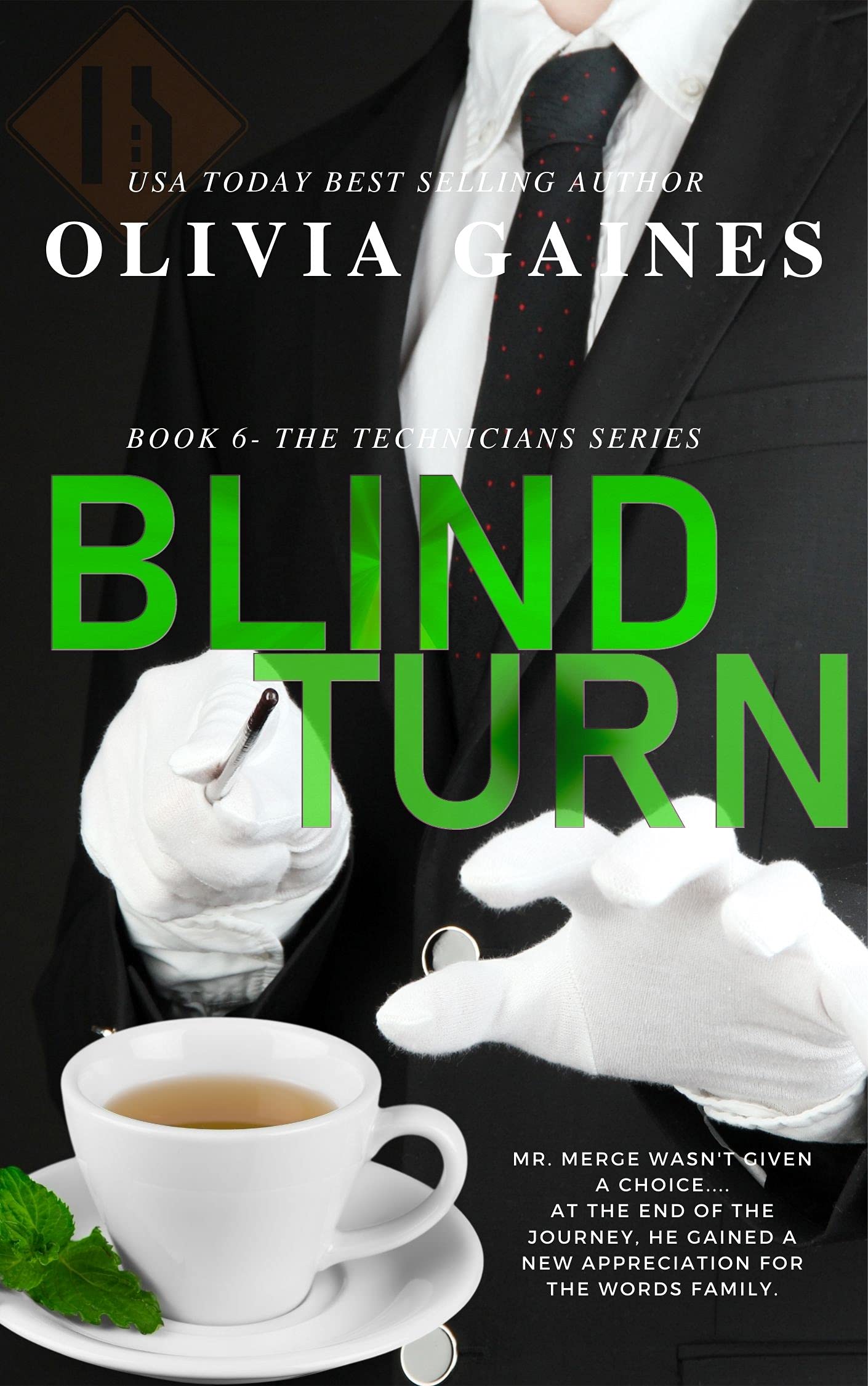 Blind Turn book cover