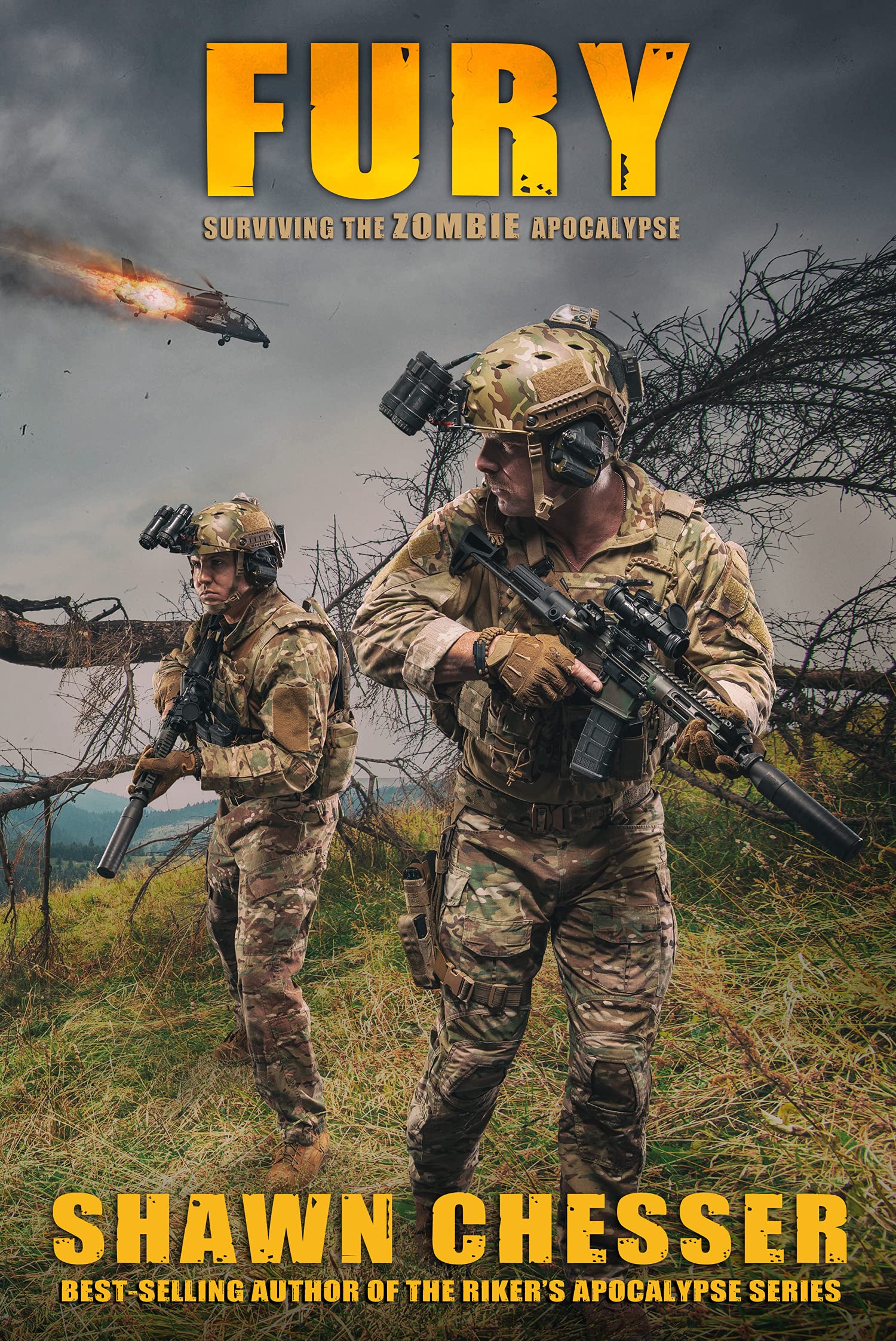 Fury book cover