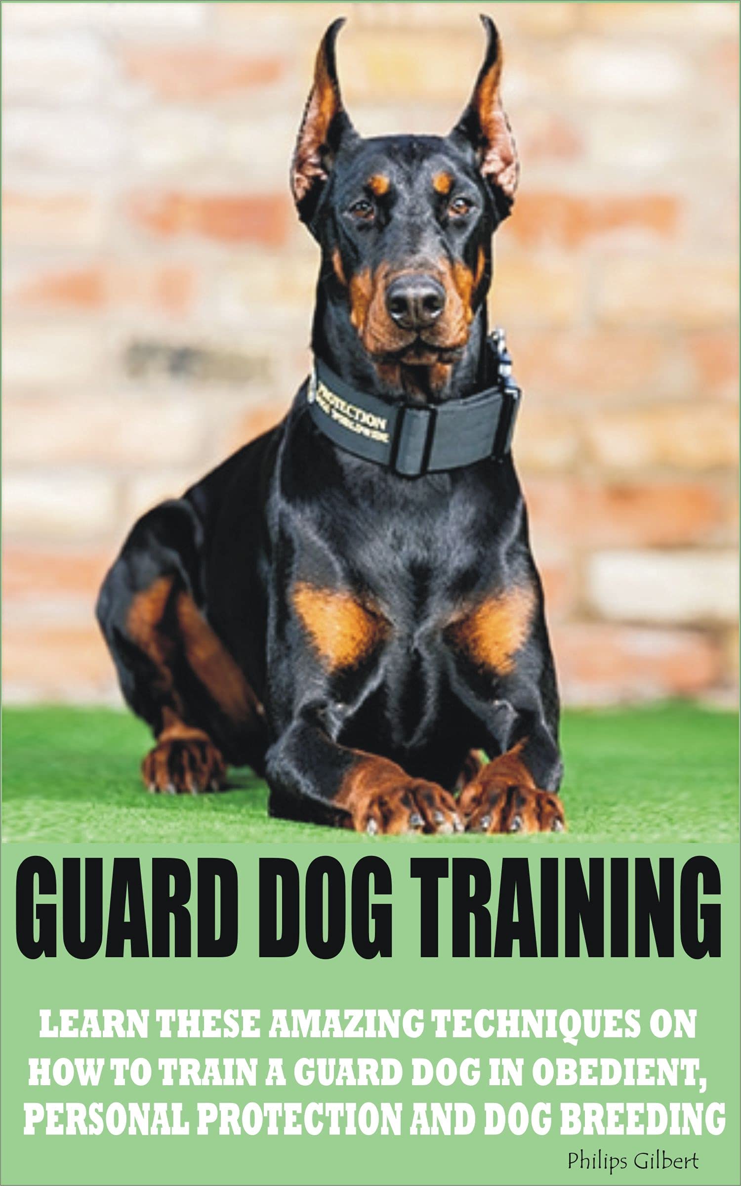 How To Train A Doberman For Protection