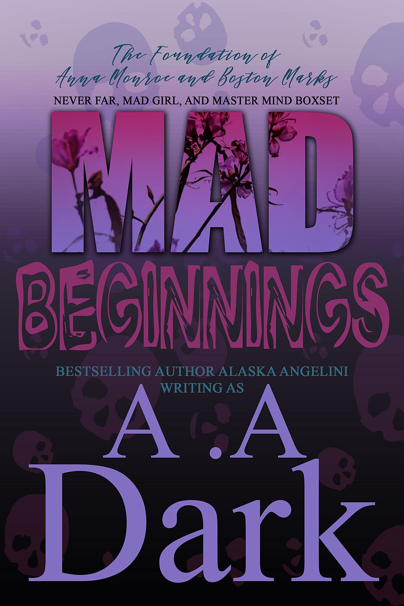 Mad Beginnings book cover