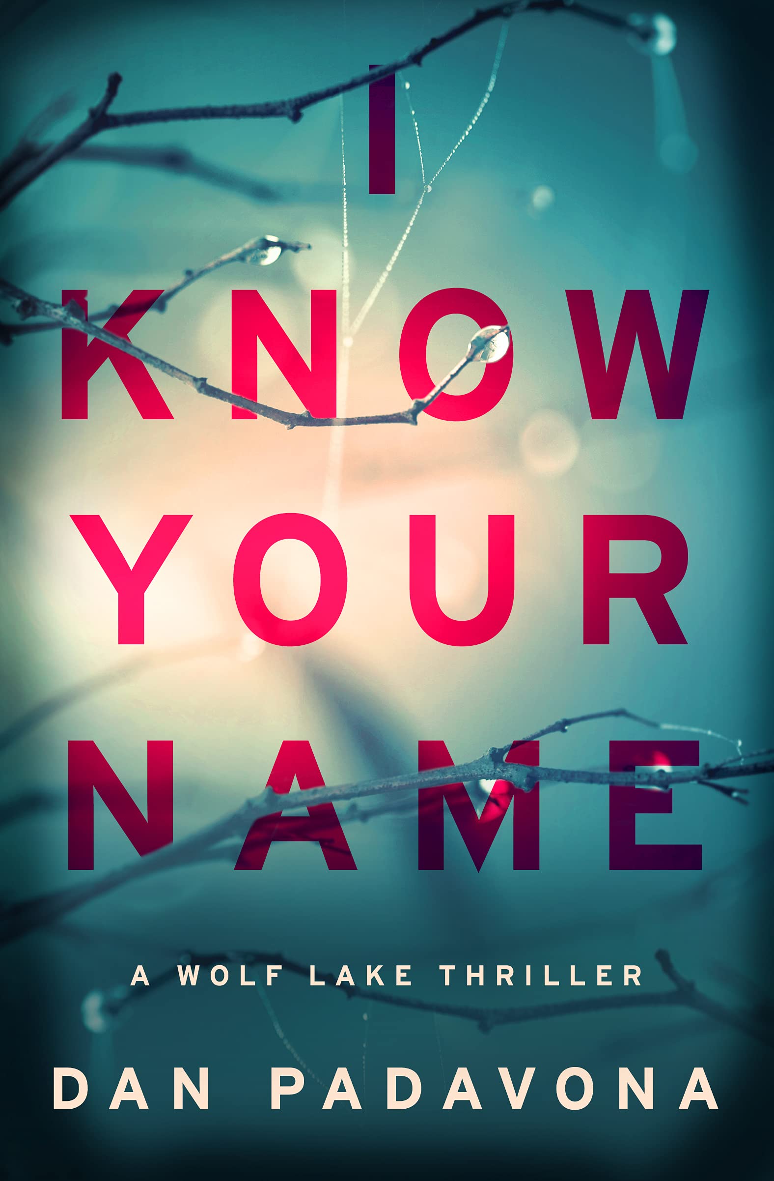 I Know Your Name book cover