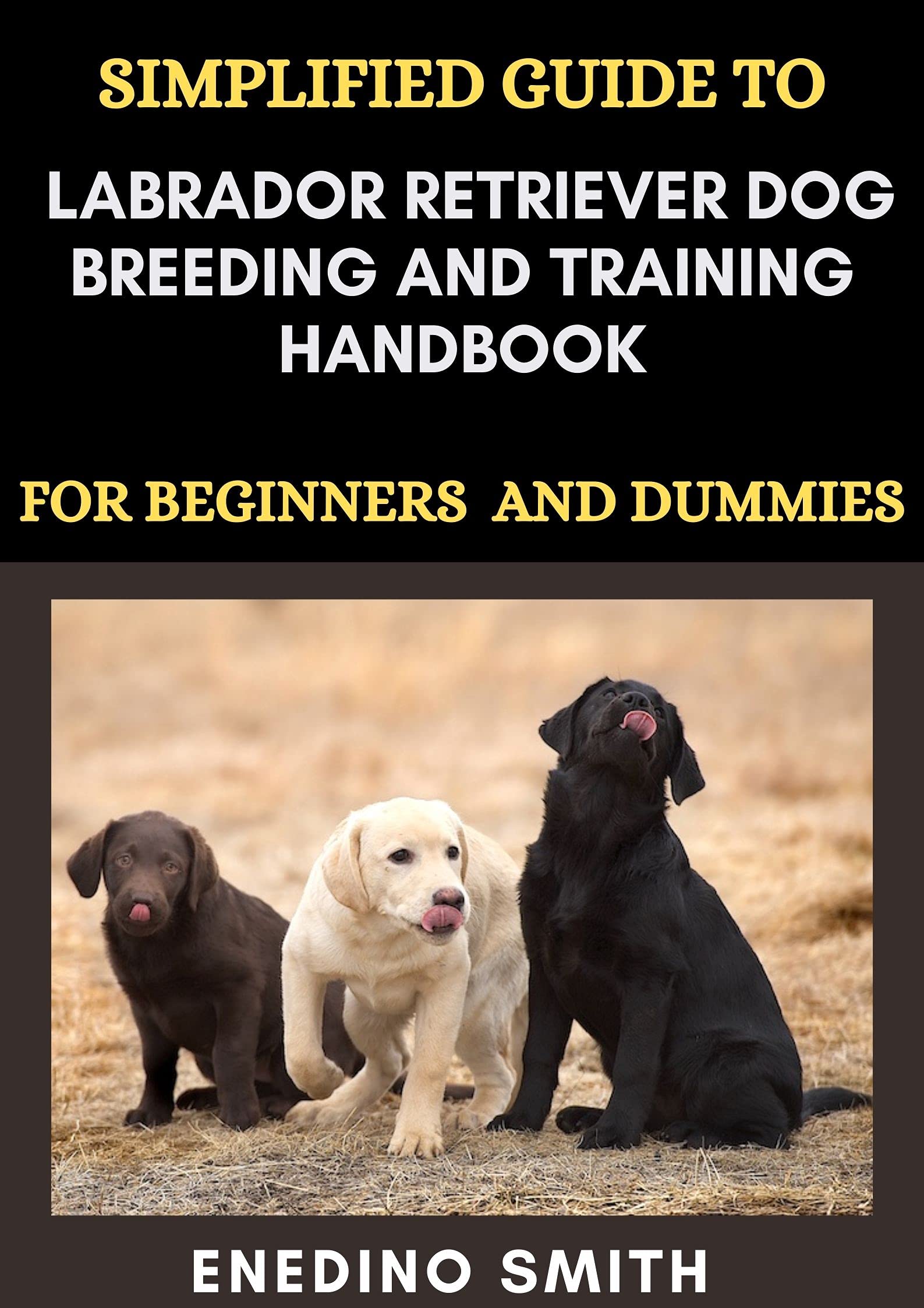 Simplified Guide To Labrador Retriever Dog Breeding And Training