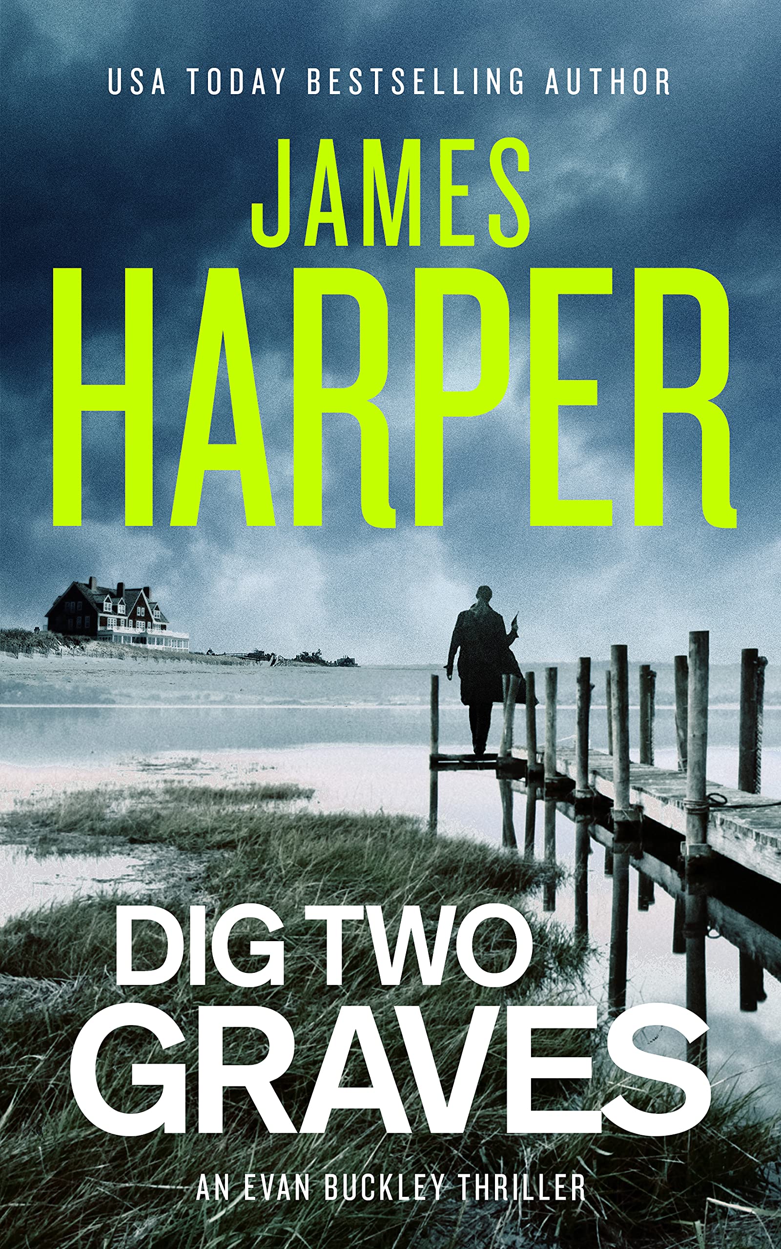Dig Two Graves book cover