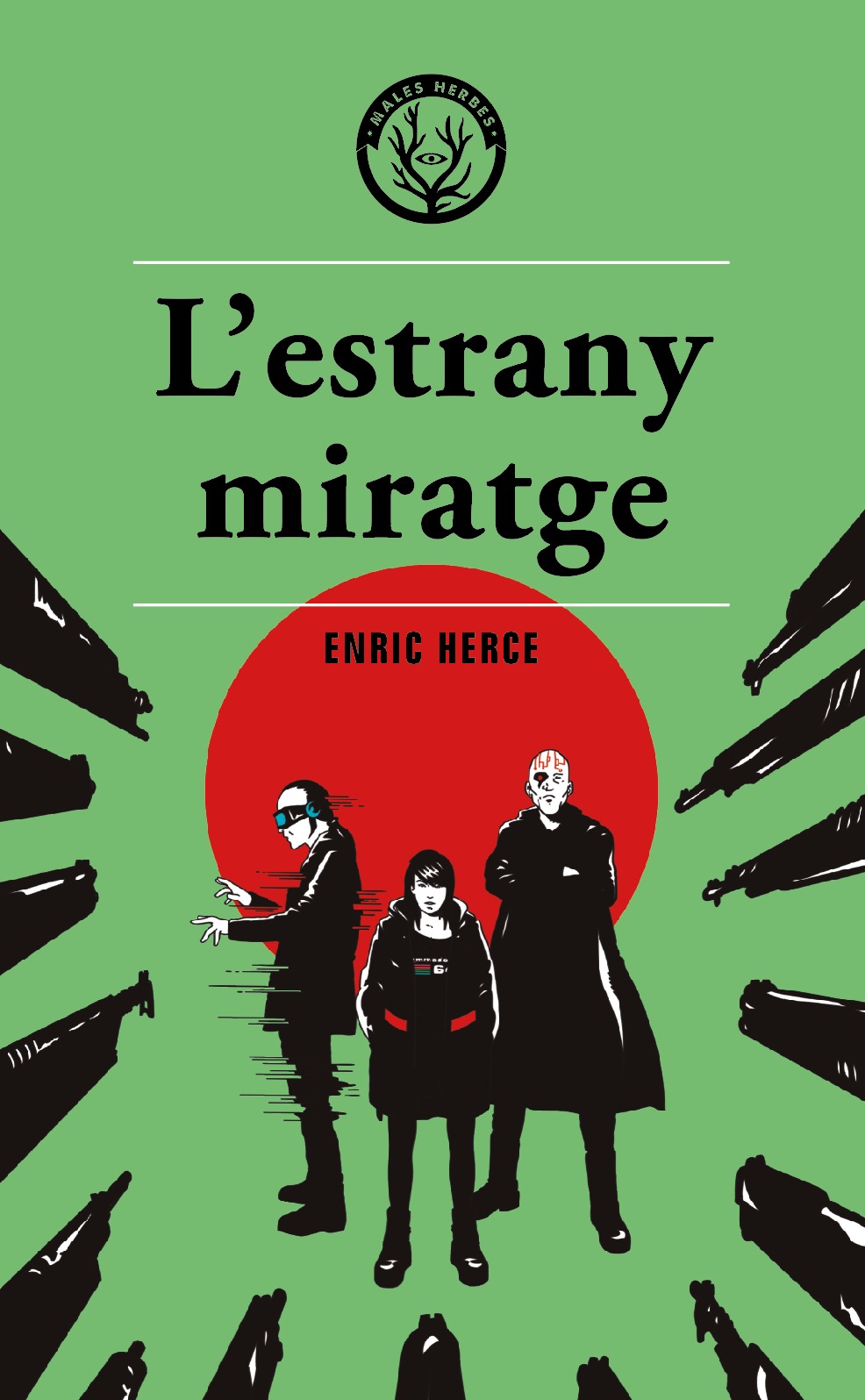 L'estrany miratge book cover