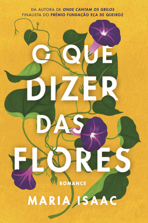 Odisseia das Pequenas Coisas book cover 2