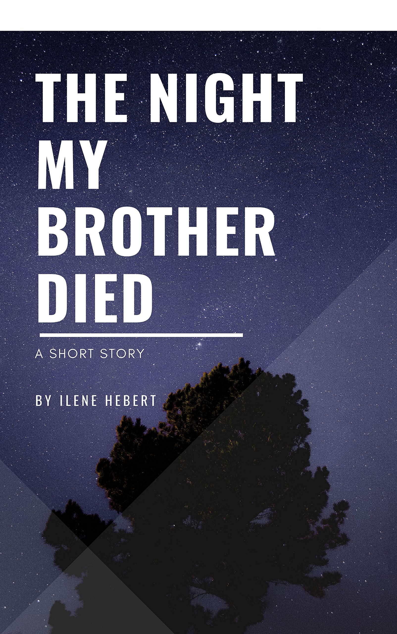The Night My Brother Died A Short Story by Ilene Hebert Goodreads