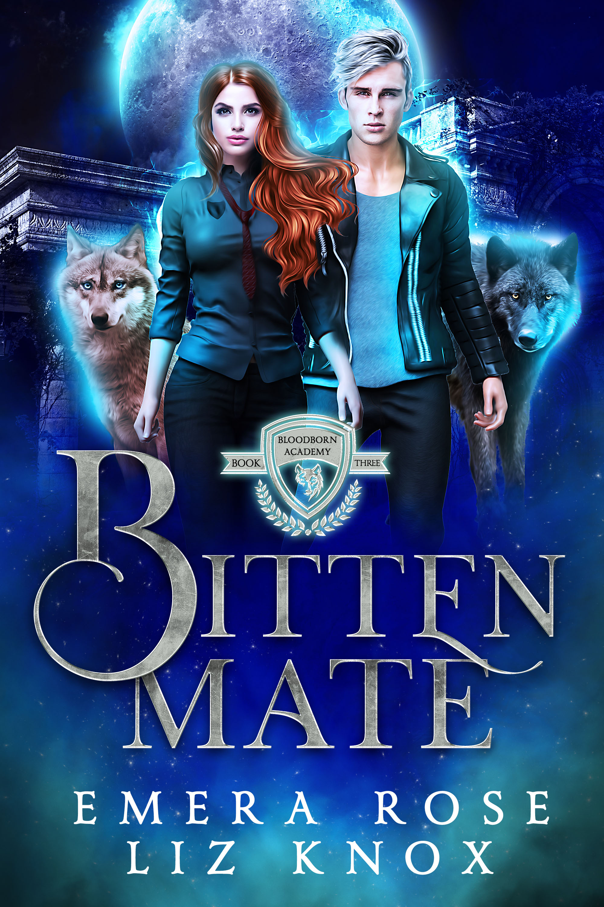 Bloodborn Academy book cover 3