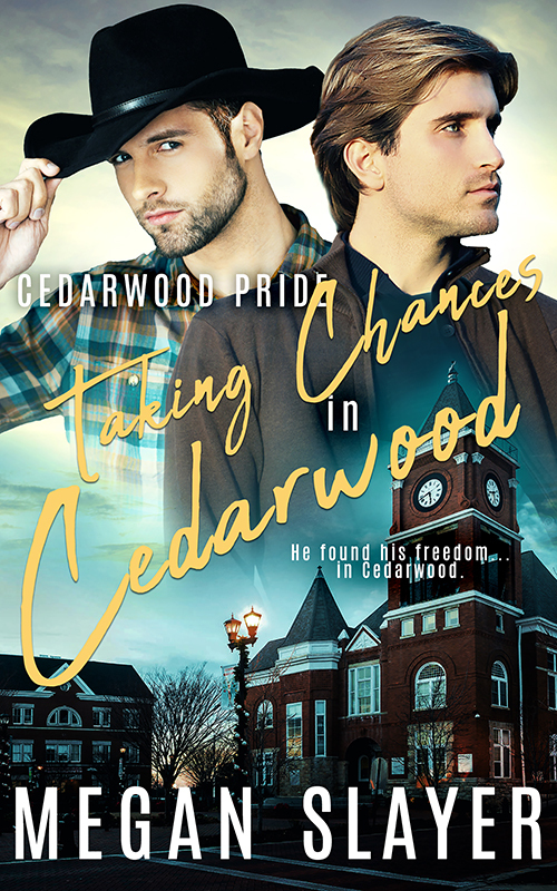 Taking Chances in Cedarwood book cover