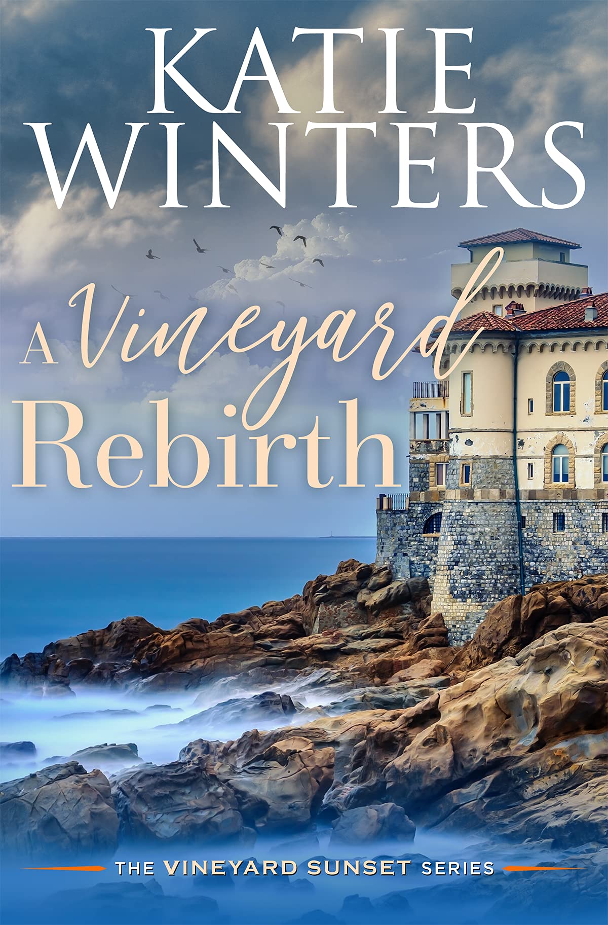 A Vineyard Rebirth book cover