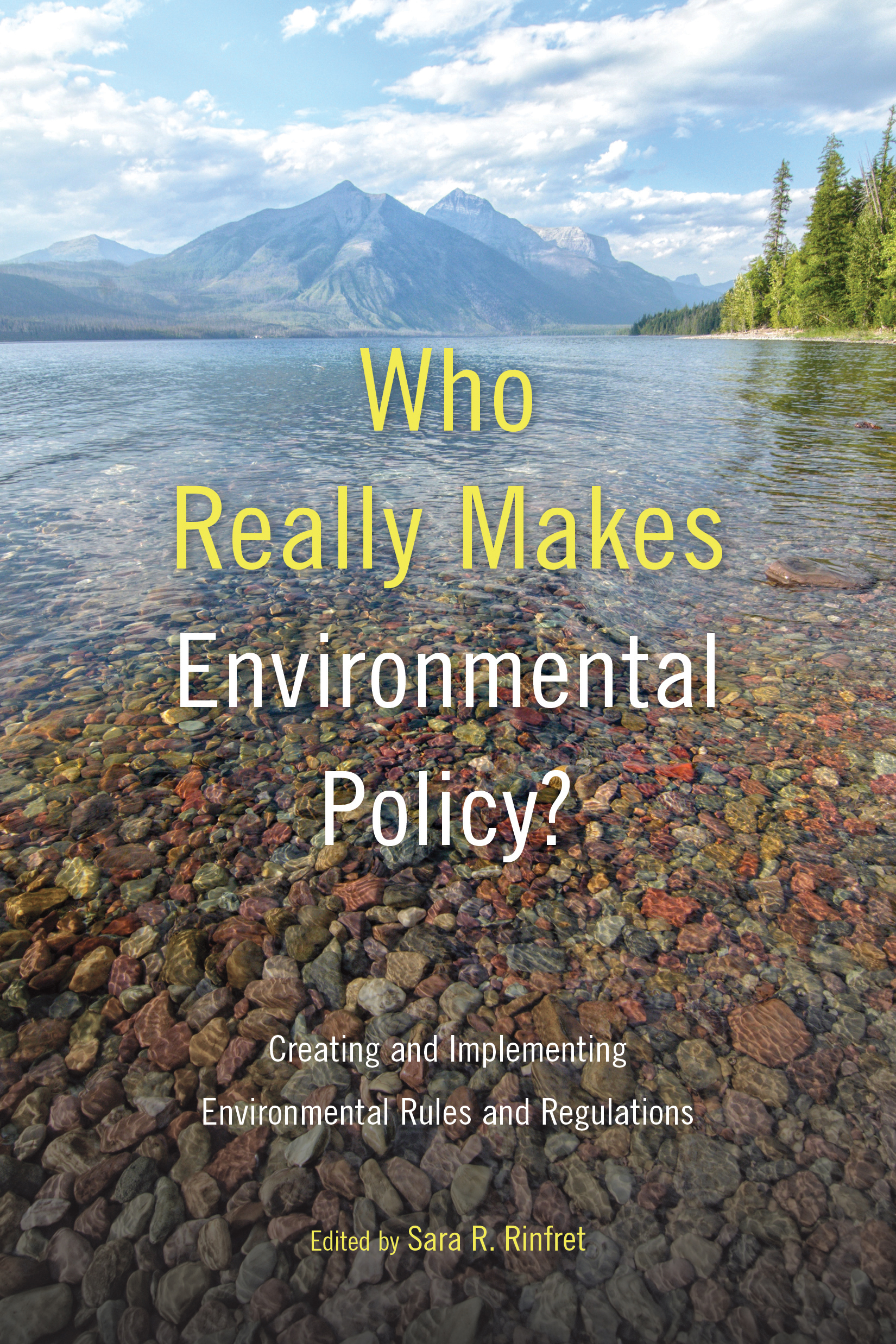 Who Really Makes Environmental Policy?: Creating and Implementing ...