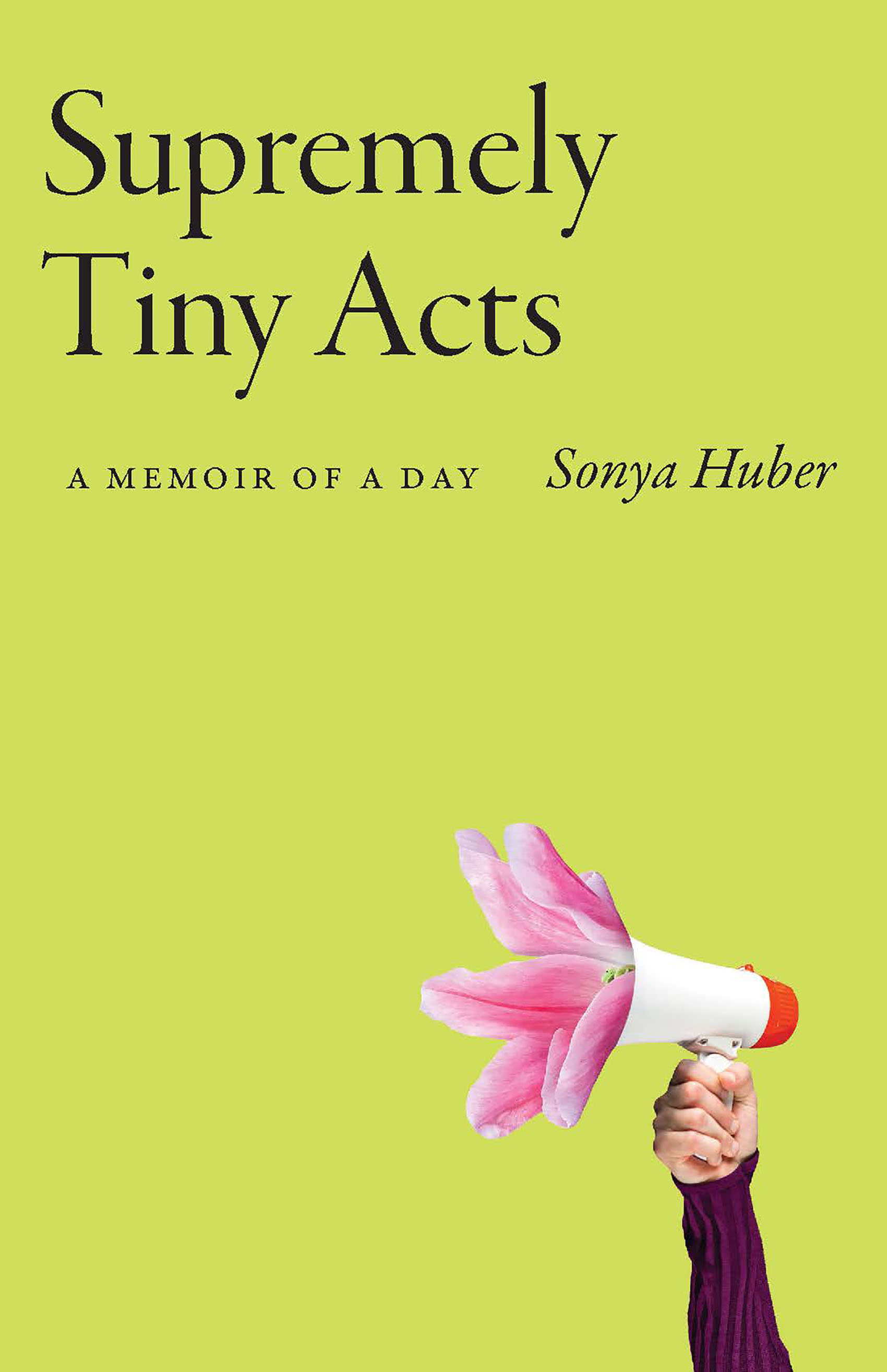 Supremely Tiny Acts book cover