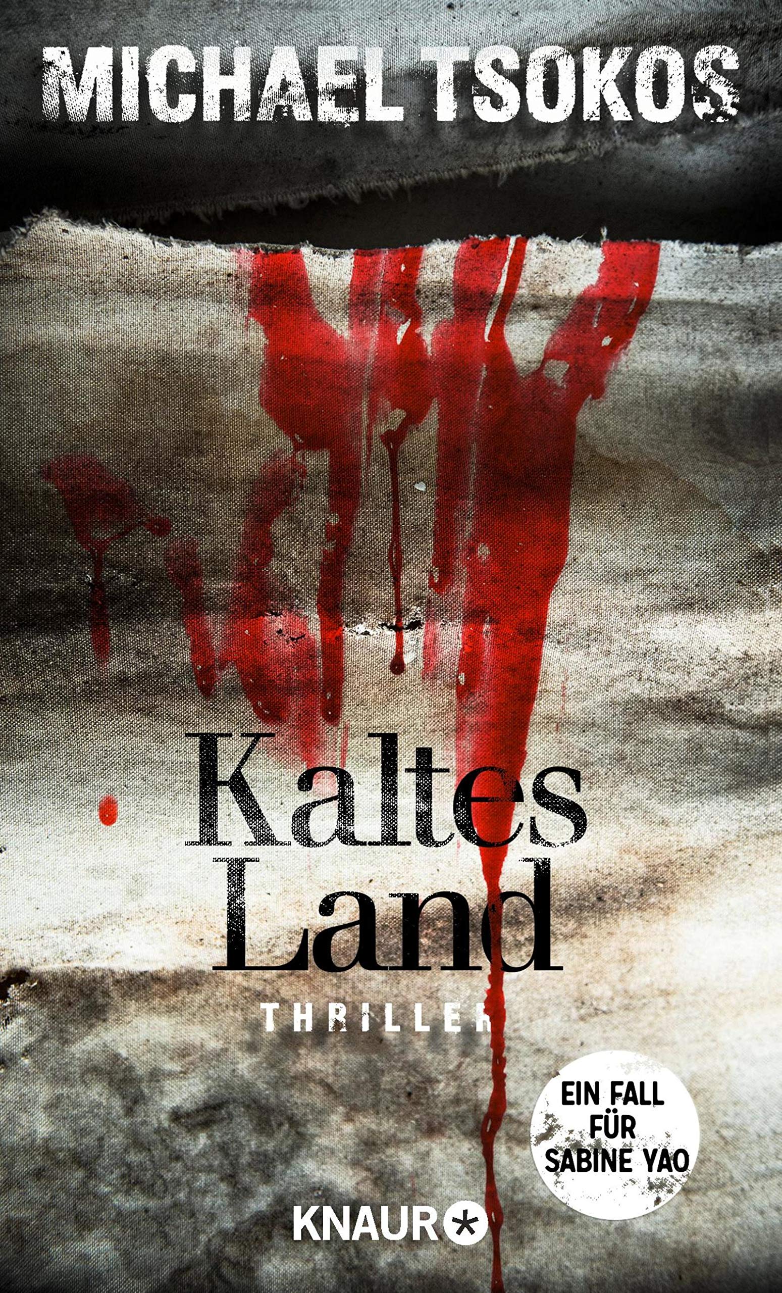 Kaltes Land: Ein Fall für Sabine Yao