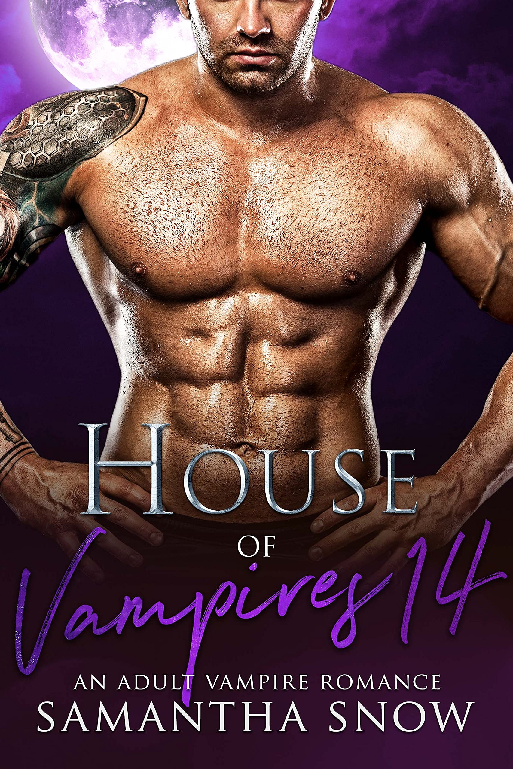 House Of Vampires 14: The Daywalkers