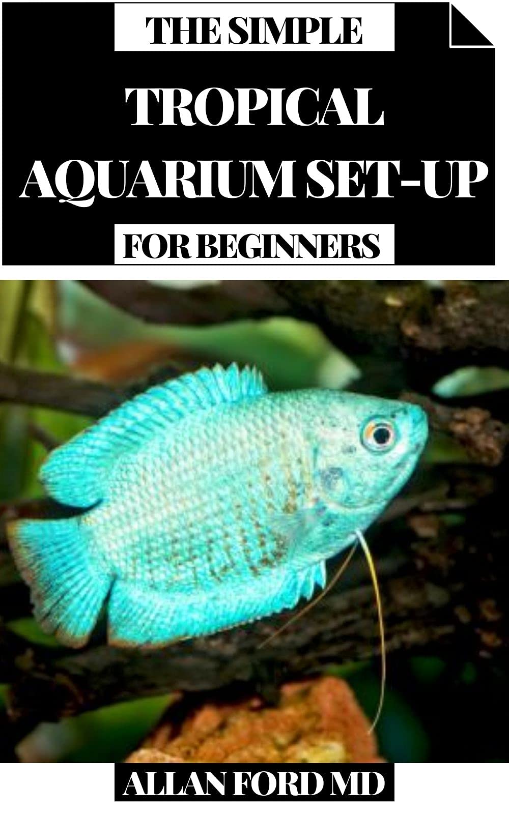 THE SIMPLE TROPICAL AQUARIUM SETUP FOR BEGINNERS A Brilliantly