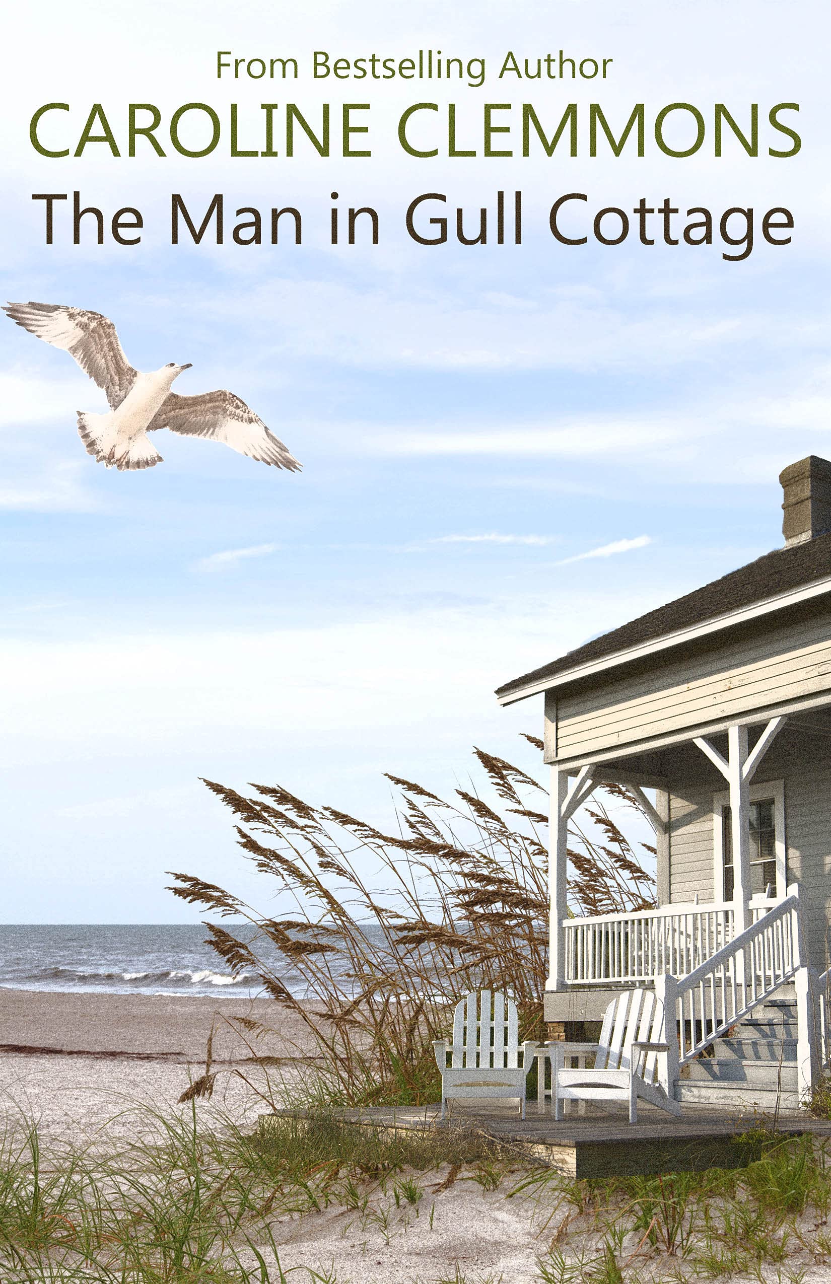 The Man In Gull Cottage book cover