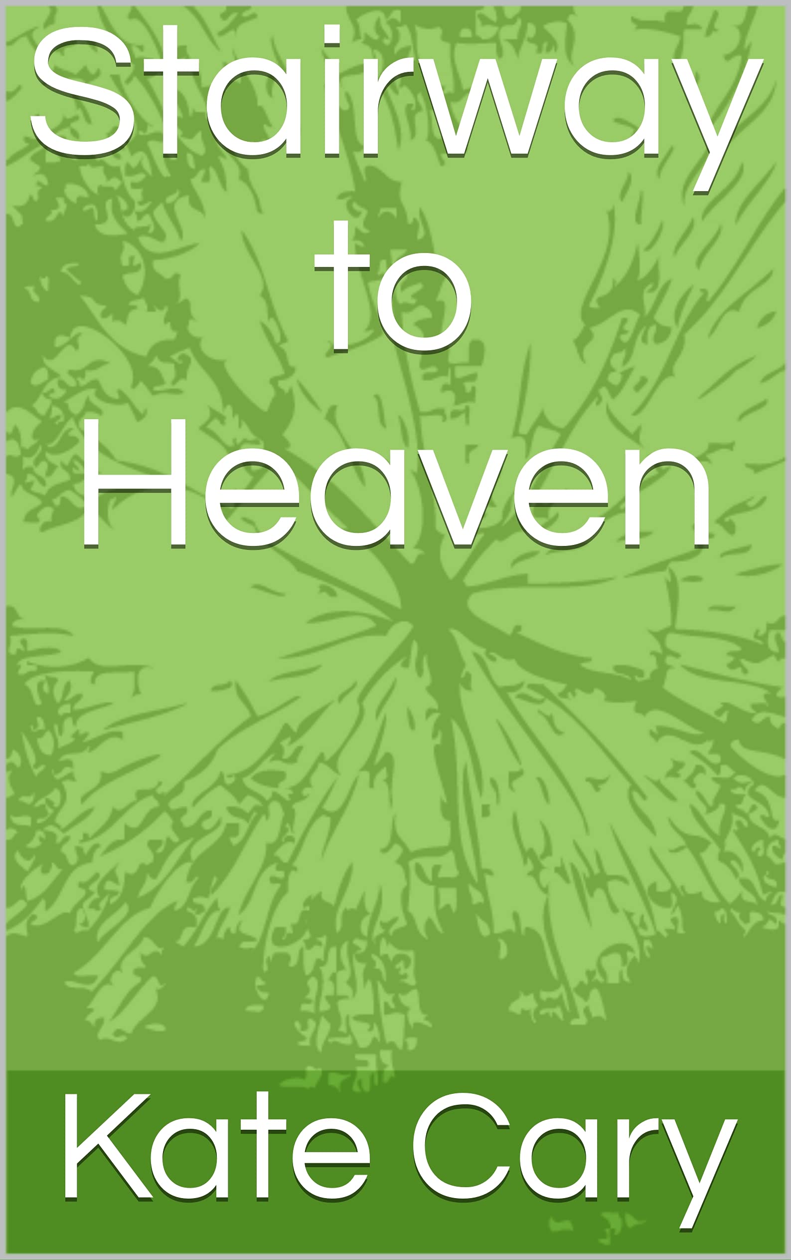 Stairway to Heaven : A memoir of hope by Kate Cary | Goodreads