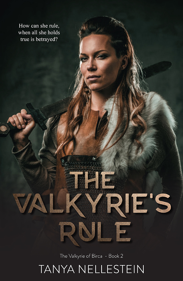 The Valkyrie of Birca book cover 2