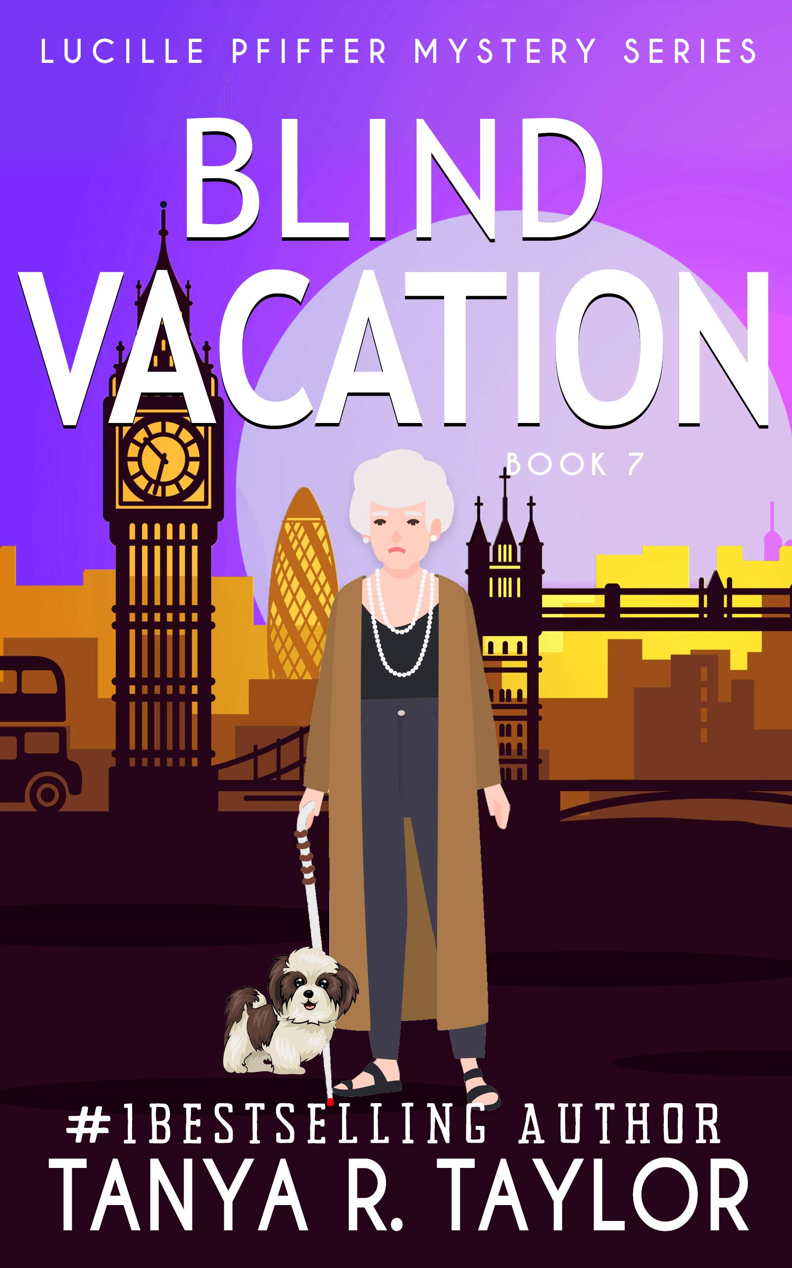 Blind Vacation book cover