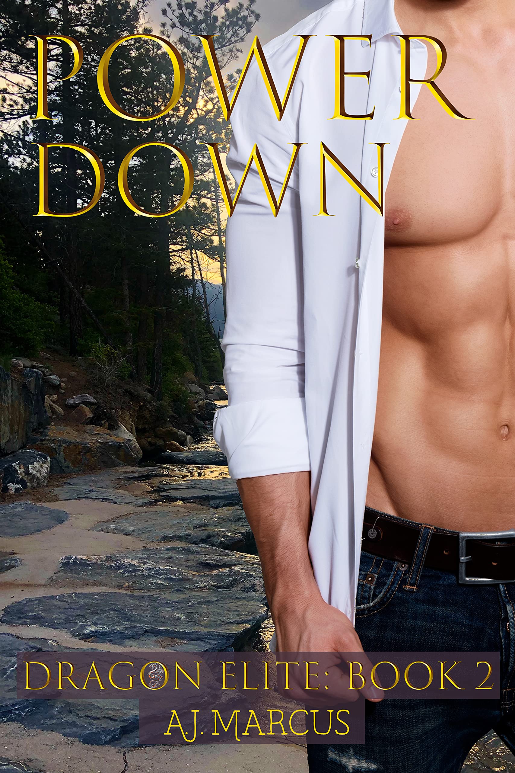 The Dragon Elite book cover 2
