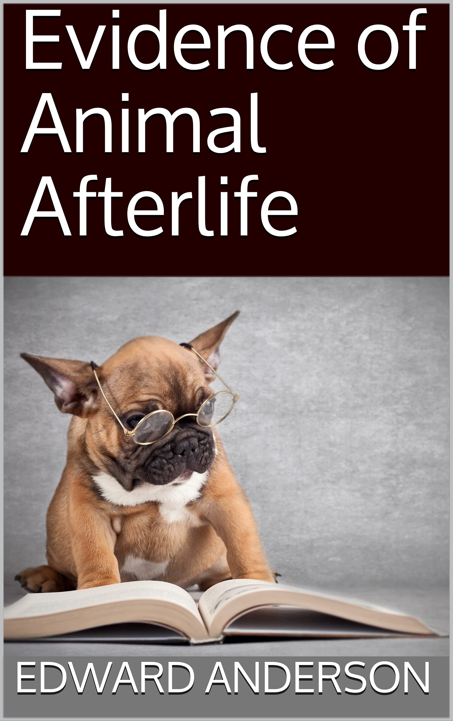 Evidence of Animal Afterlife
