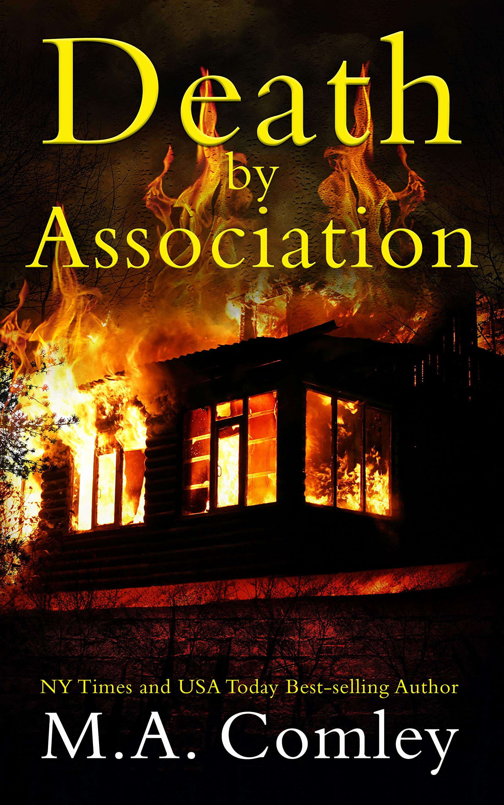 Death by Association book cover