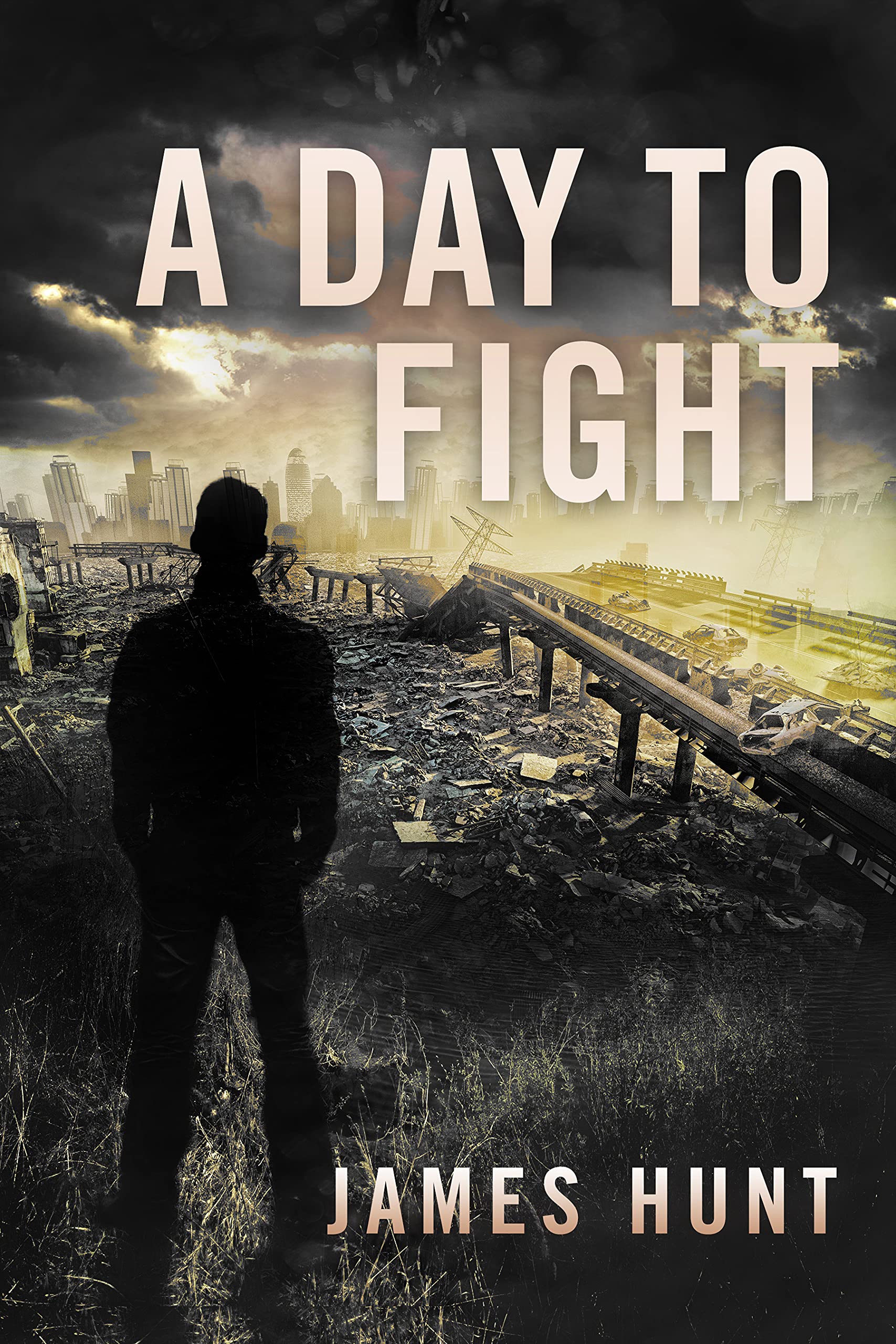 A Day To Fight book cover