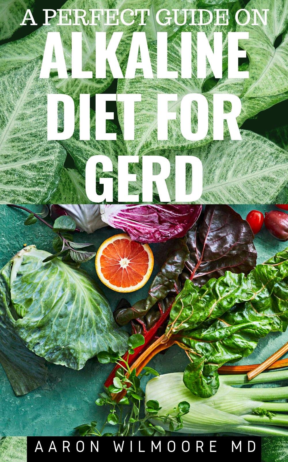 A PERFECT GUIDE ON ALKALINE DIET FOR GERD Everything You Need To Know